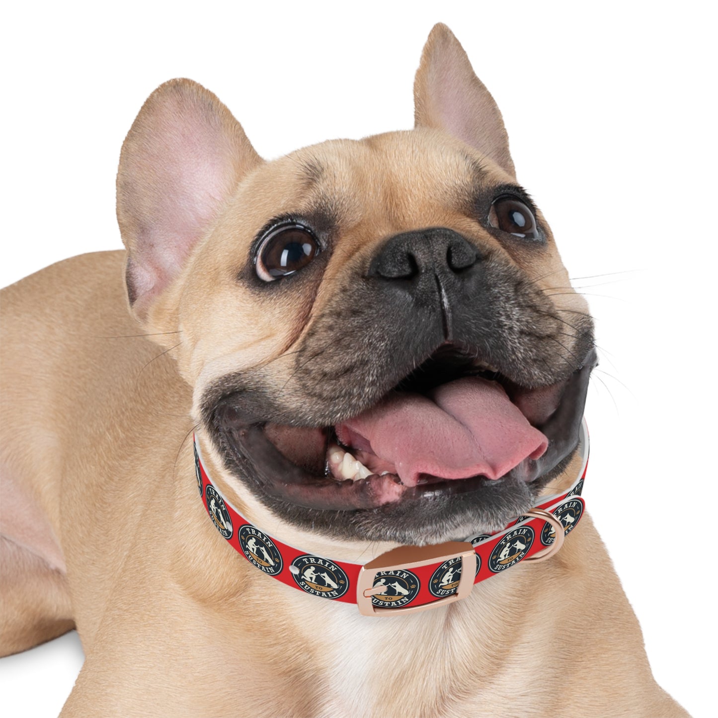 Train to Sustain Design - Dog Collar (Red)