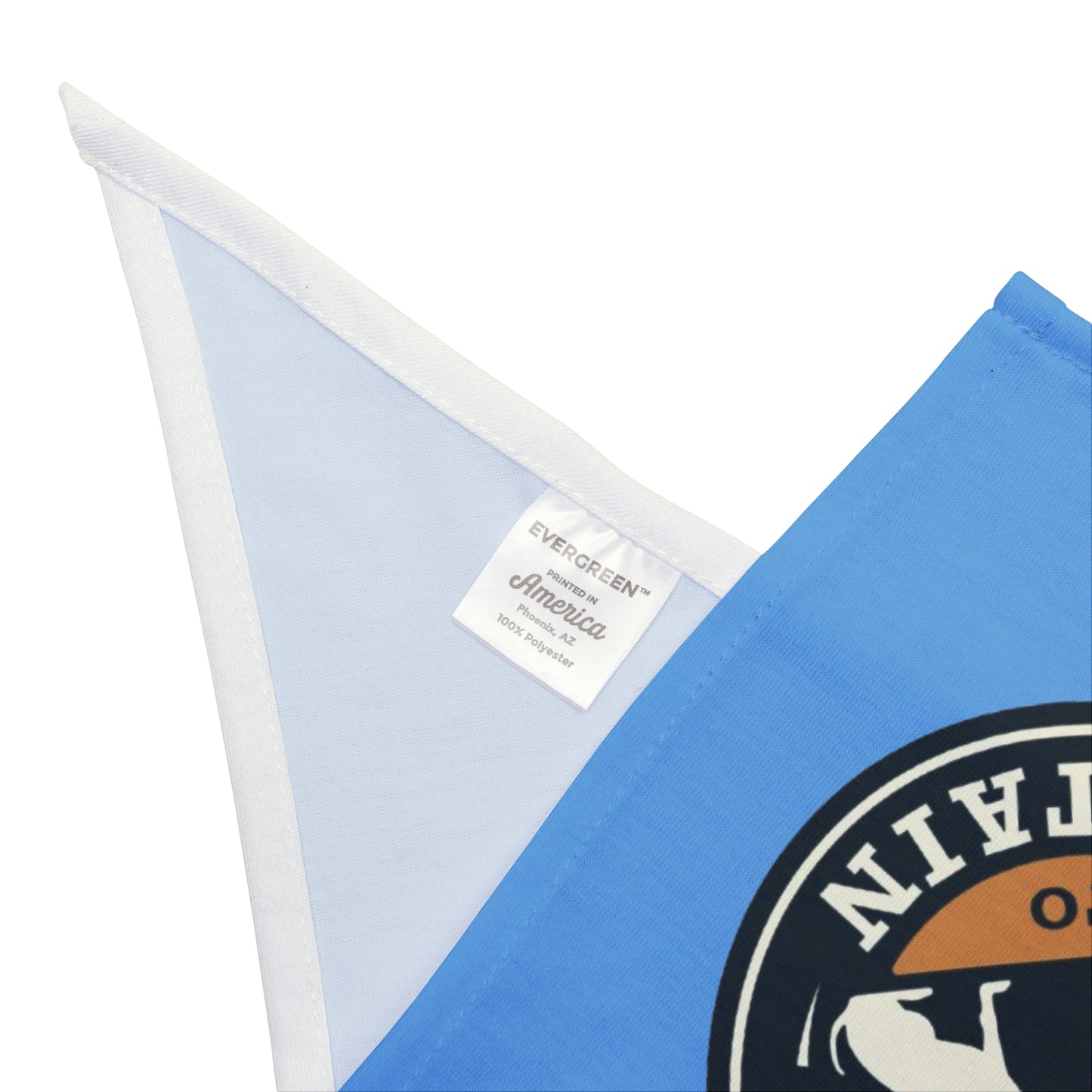 Train to Sustain - Pet Bandana (Blue)