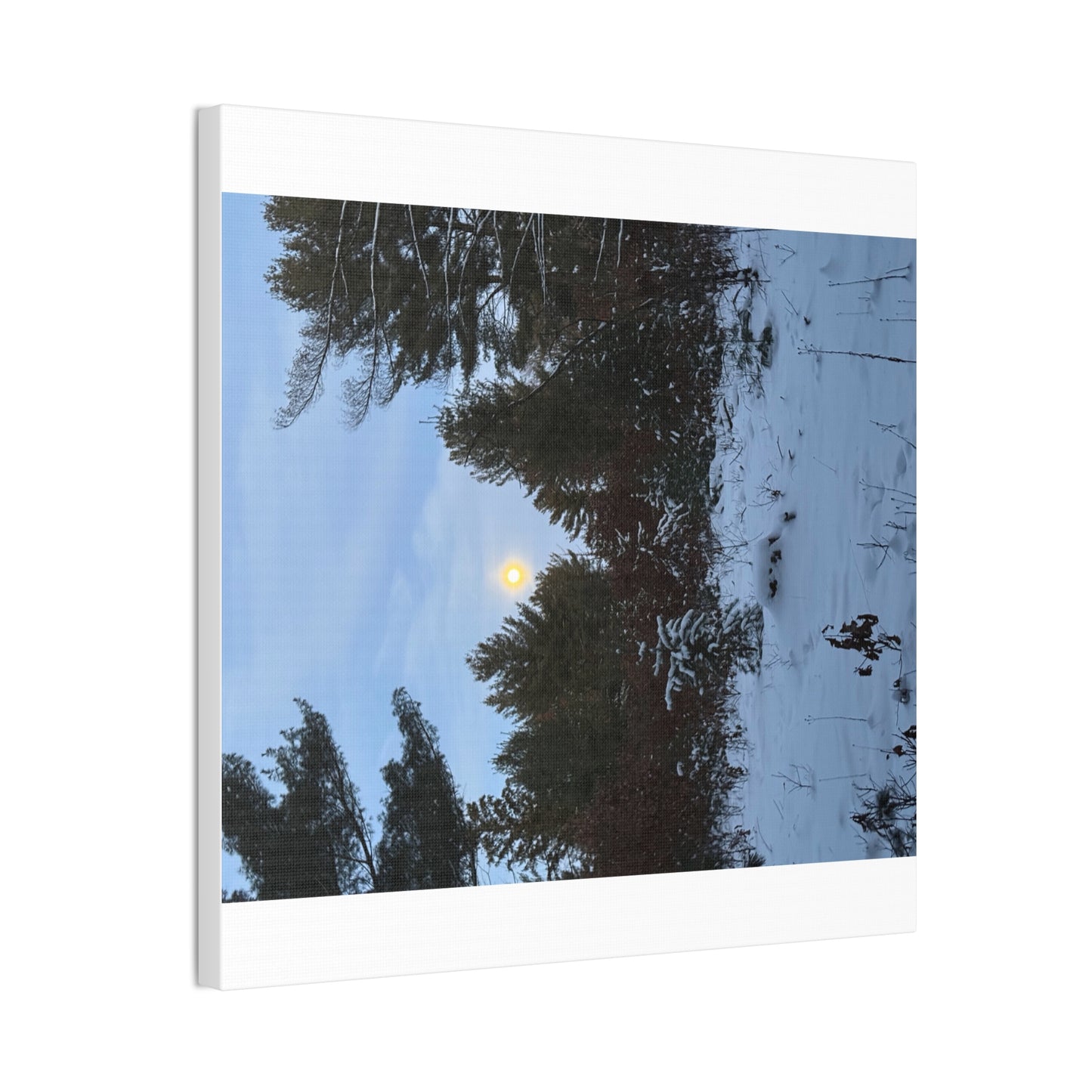 Wisconsin Adrenaline Junkies - Canvas Stretched, 0.75" - Snow