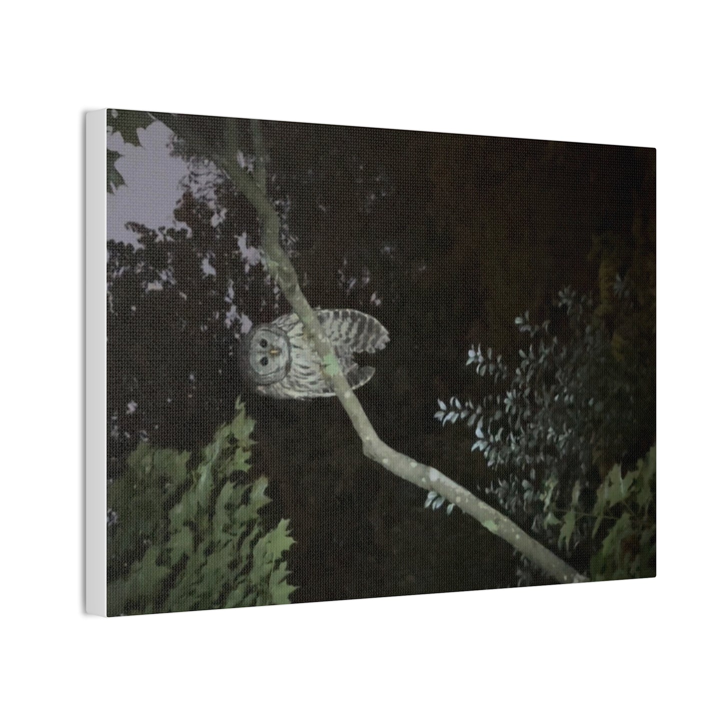 Wisconsin Adrenaline Junkies - Canvas Stretched, 0.75" - Watcher