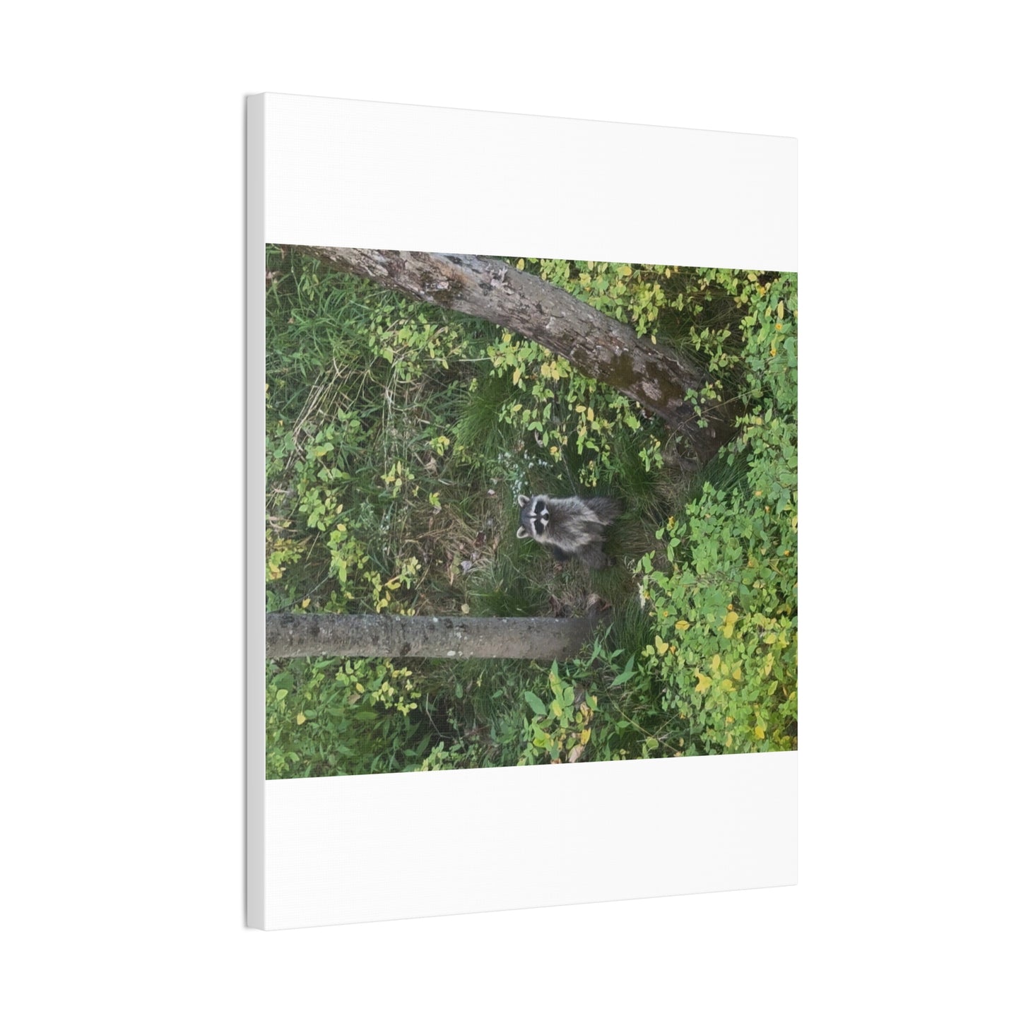 Wisconsin Adrenaline Junkies - Canvas Stretched, 0.75" - Friend