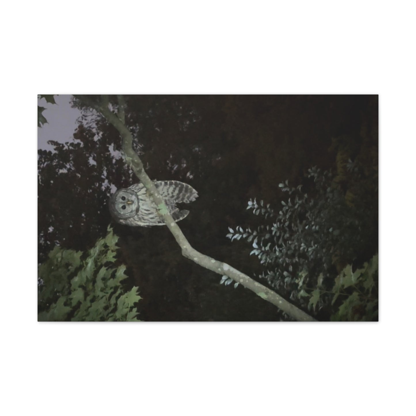 Wisconsin Adrenaline Junkies - Canvas Stretched, 0.75" - Watcher