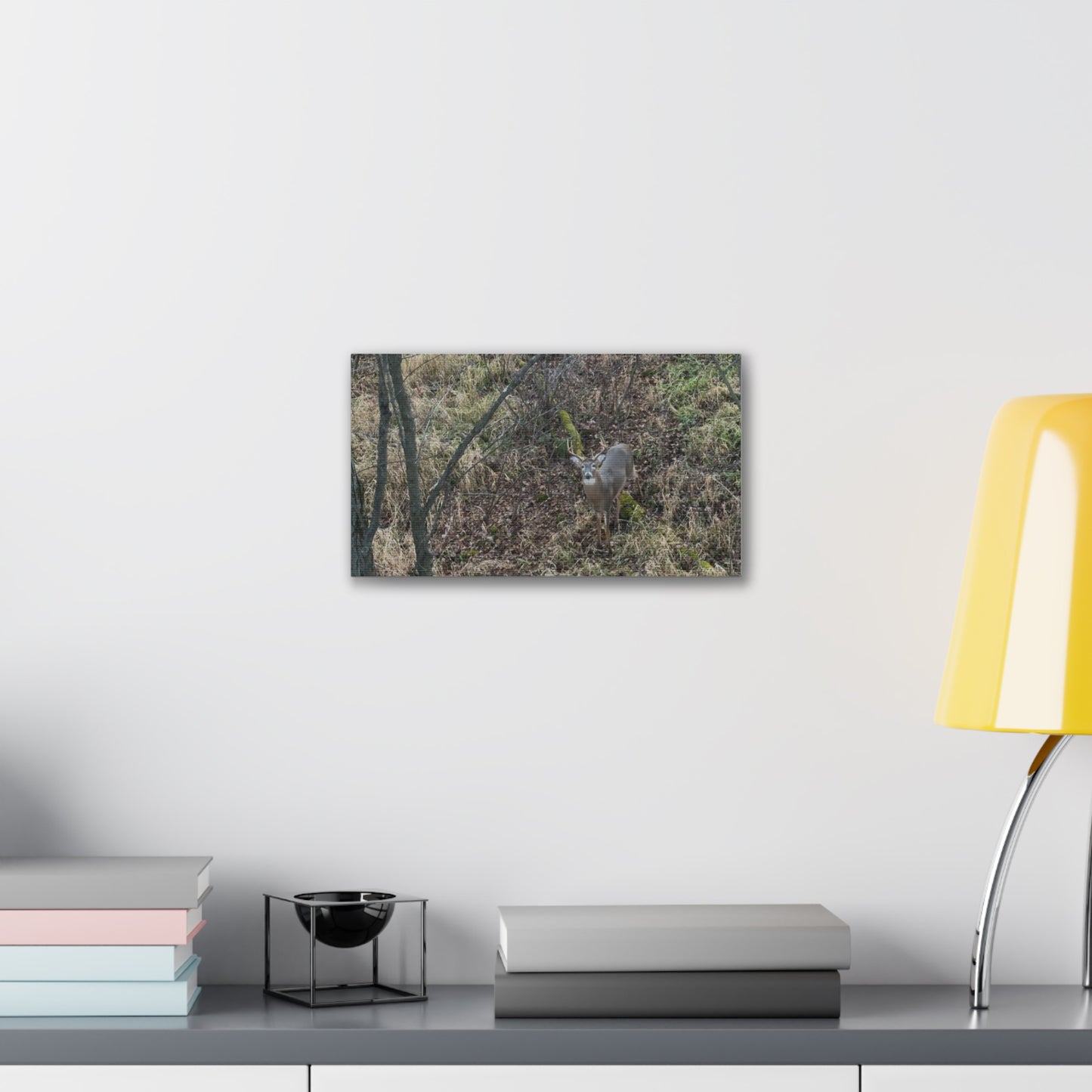 Wisconsin Adrenaline Junkies - Canvas Stretched, 0.75" - Deer