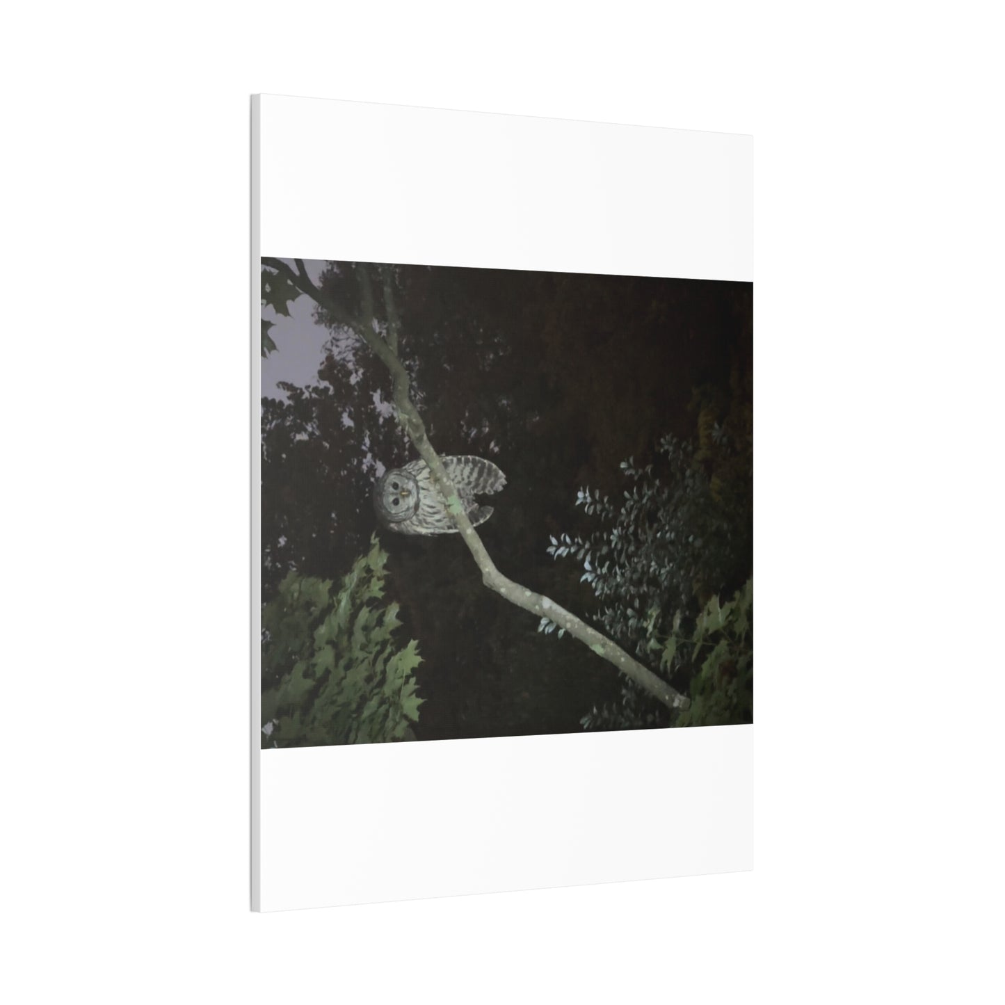 Wisconsin Adrenaline Junkies - Canvas Stretched, 0.75" - Watcher
