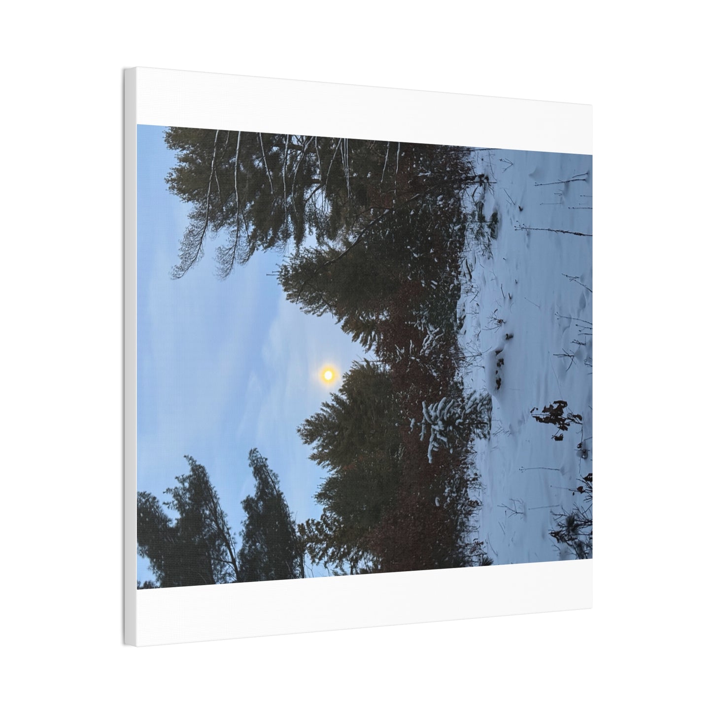 Wisconsin Adrenaline Junkies - Canvas Stretched, 0.75" - Snow