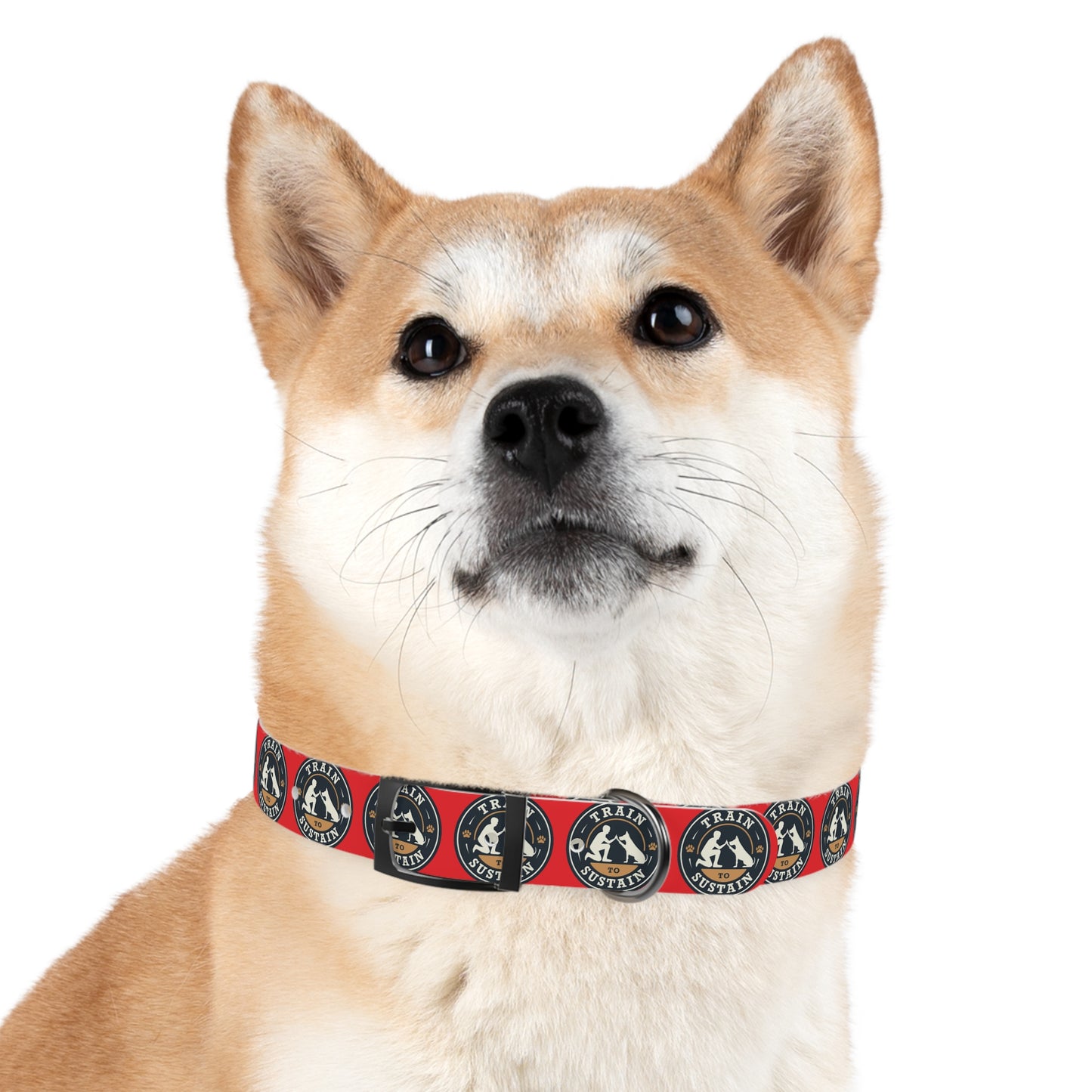 Train to Sustain Design - Dog Collar (Red)