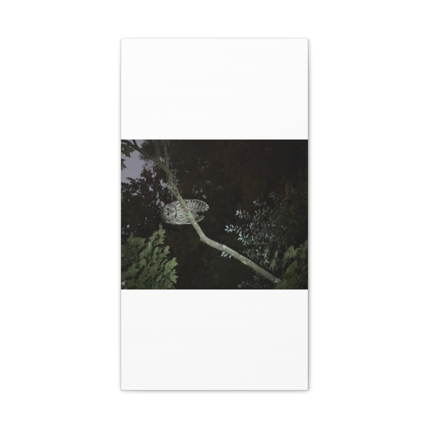 Wisconsin Adrenaline Junkies - Canvas Stretched, 0.75" - Watcher