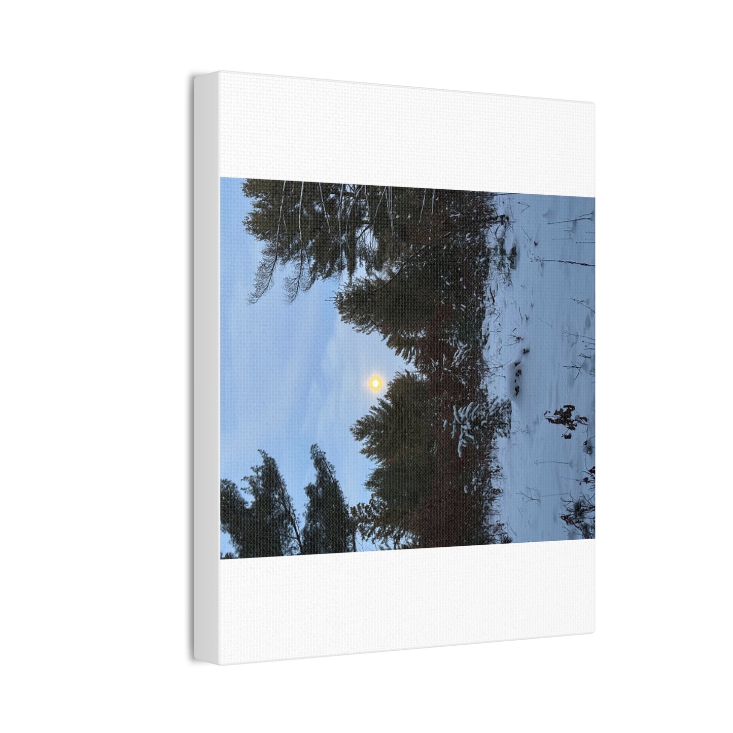 Wisconsin Adrenaline Junkies - Canvas Stretched, 0.75" - Snow