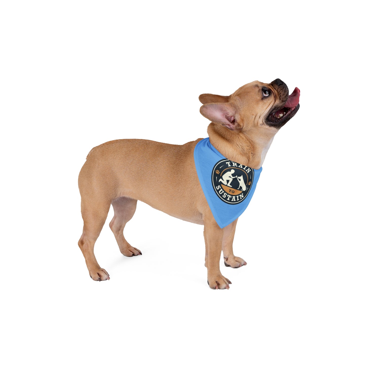 Train to Sustain - Pet Bandana (Blue)