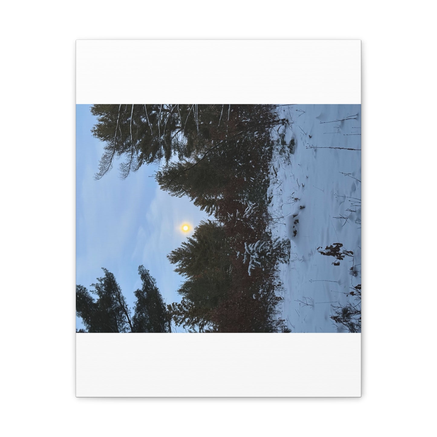 Wisconsin Adrenaline Junkies - Canvas Stretched, 0.75" - Snow