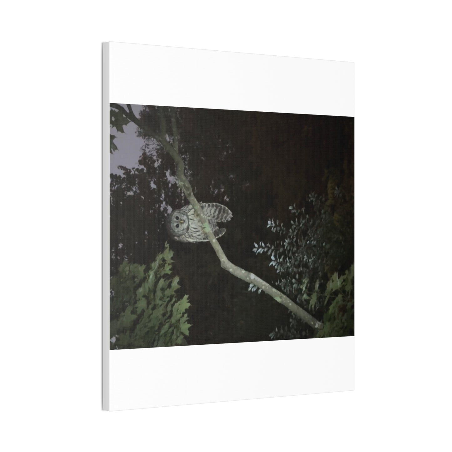Wisconsin Adrenaline Junkies - Canvas Stretched, 0.75" - Watcher
