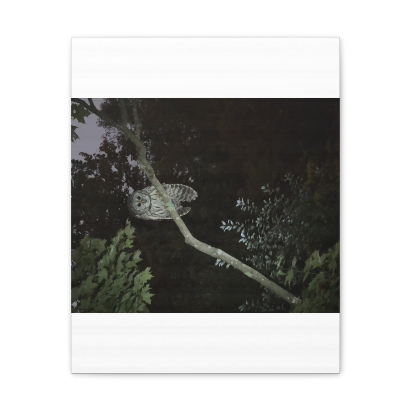 Wisconsin Adrenaline Junkies - Canvas Stretched, 0.75" - Watcher