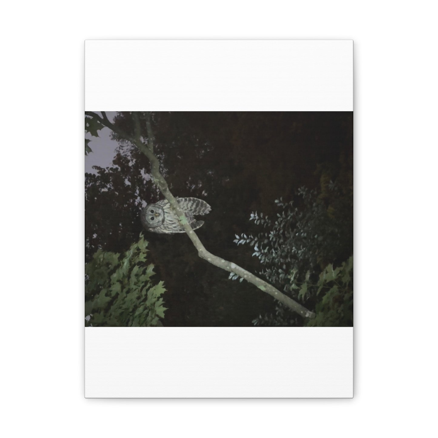 Wisconsin Adrenaline Junkies - Canvas Stretched, 0.75" - Watcher