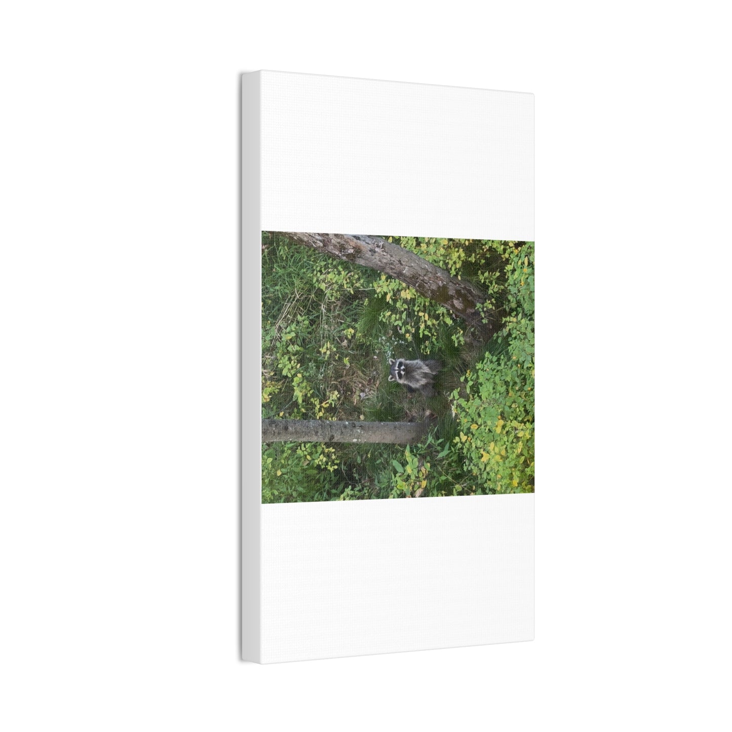 Wisconsin Adrenaline Junkies - Canvas Stretched, 0.75" - Friend