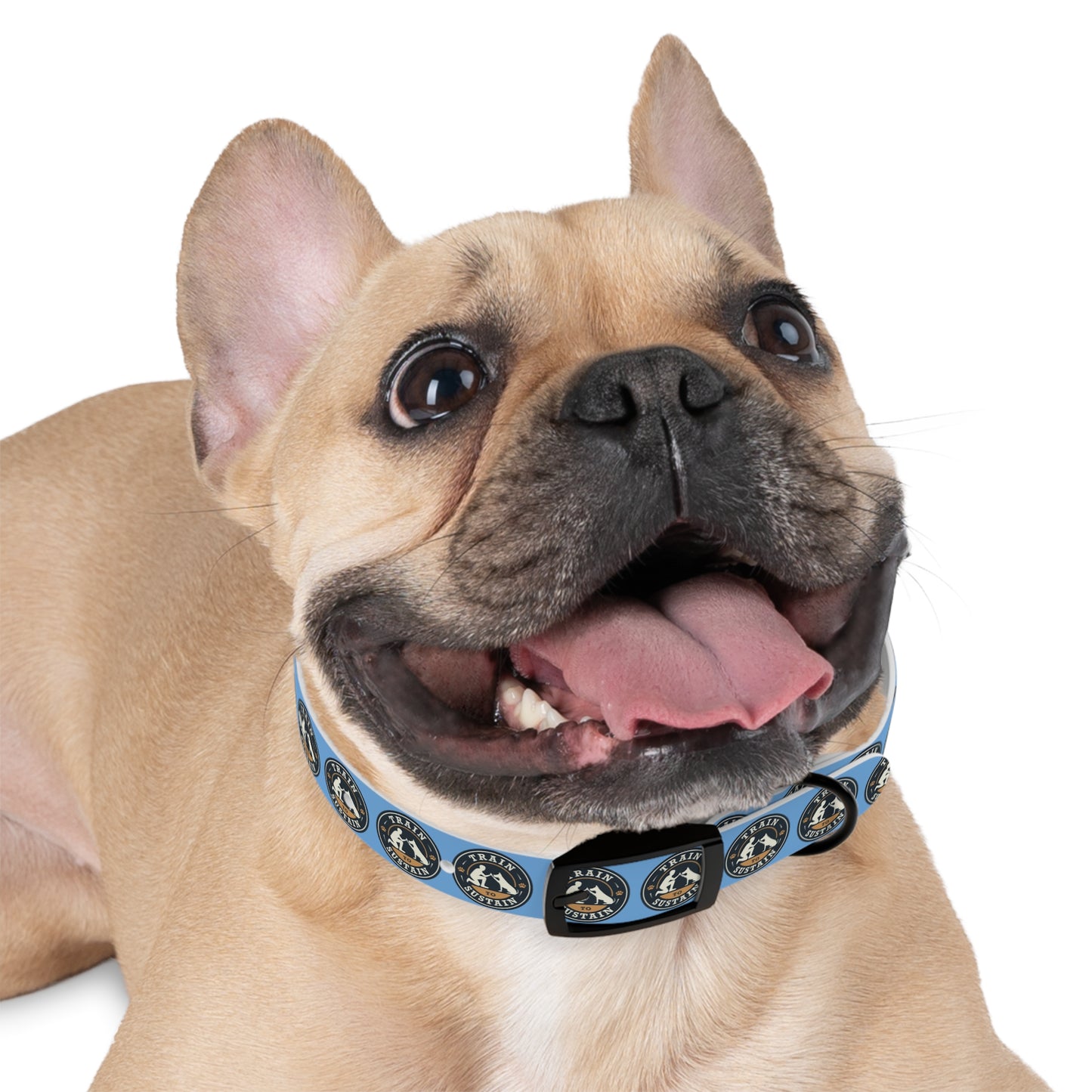 Train & Sustain - Dog Collar