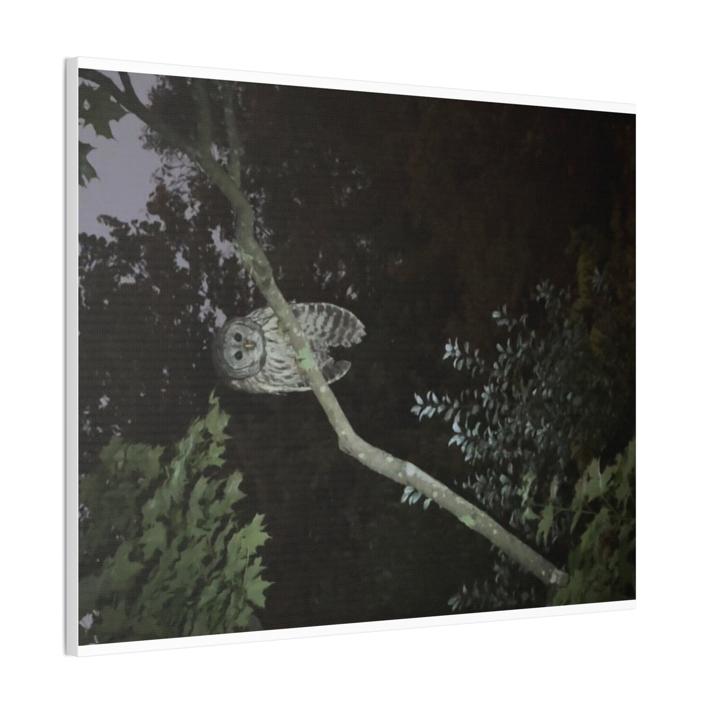 Wisconsin Adrenaline Junkies - Canvas Stretched, 0.75" - Watcher