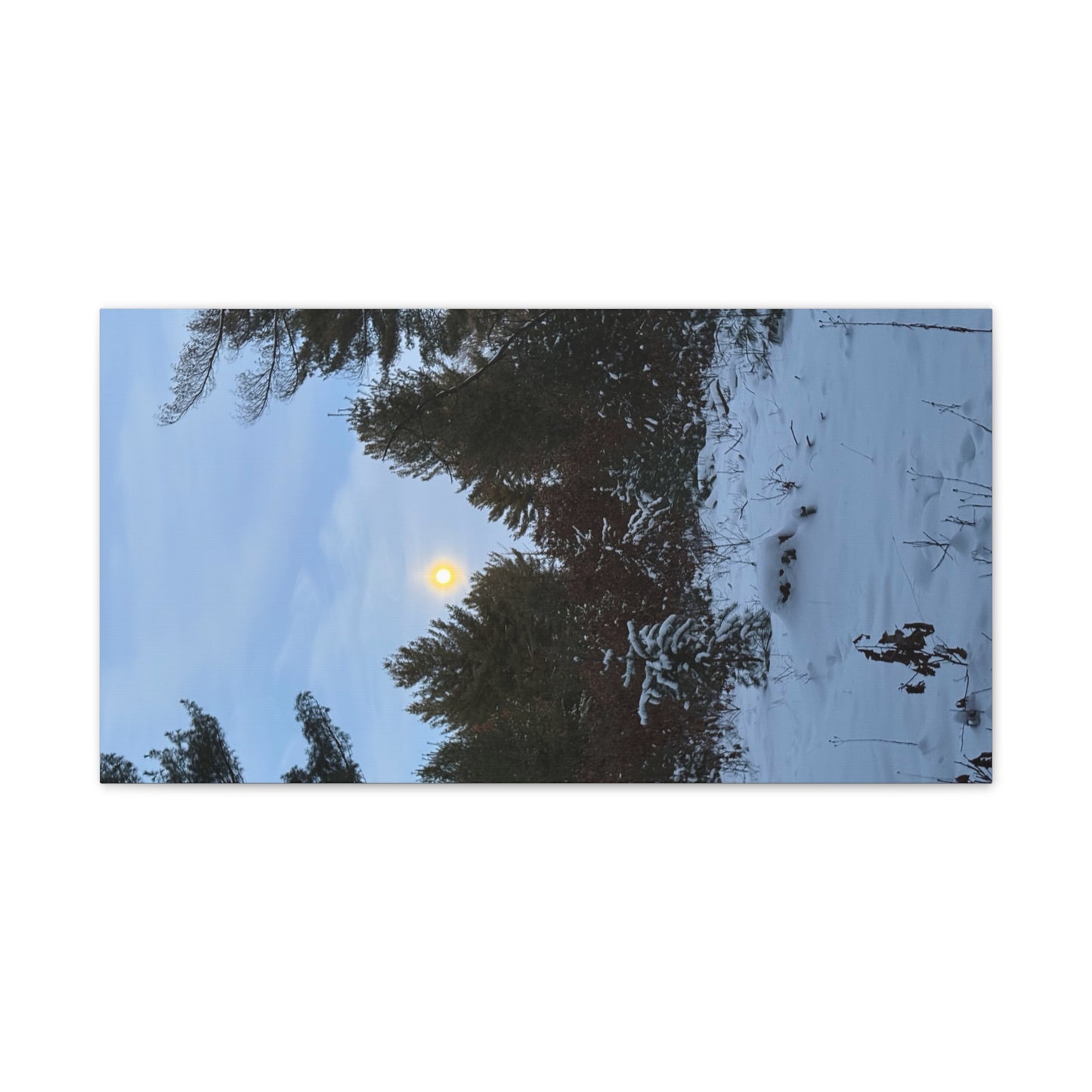 Wisconsin Adrenaline Junkies - Canvas Stretched, 0.75" - Snow