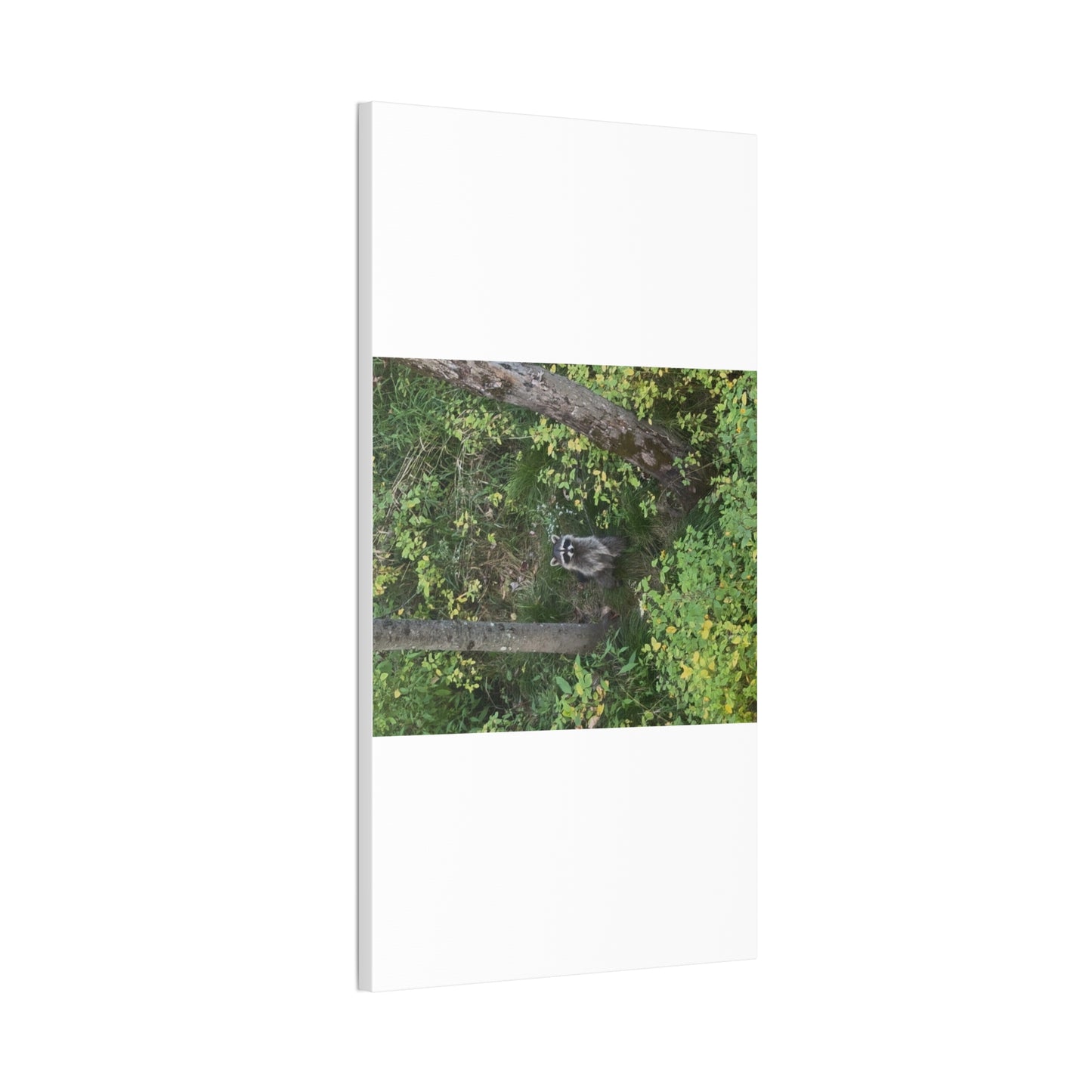 Wisconsin Adrenaline Junkies - Canvas Stretched, 0.75" - Friend