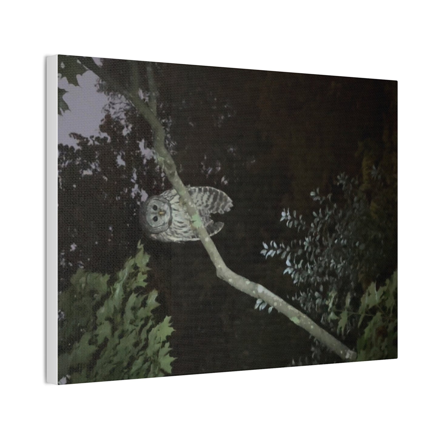 Wisconsin Adrenaline Junkies - Canvas Stretched, 0.75" - Watcher