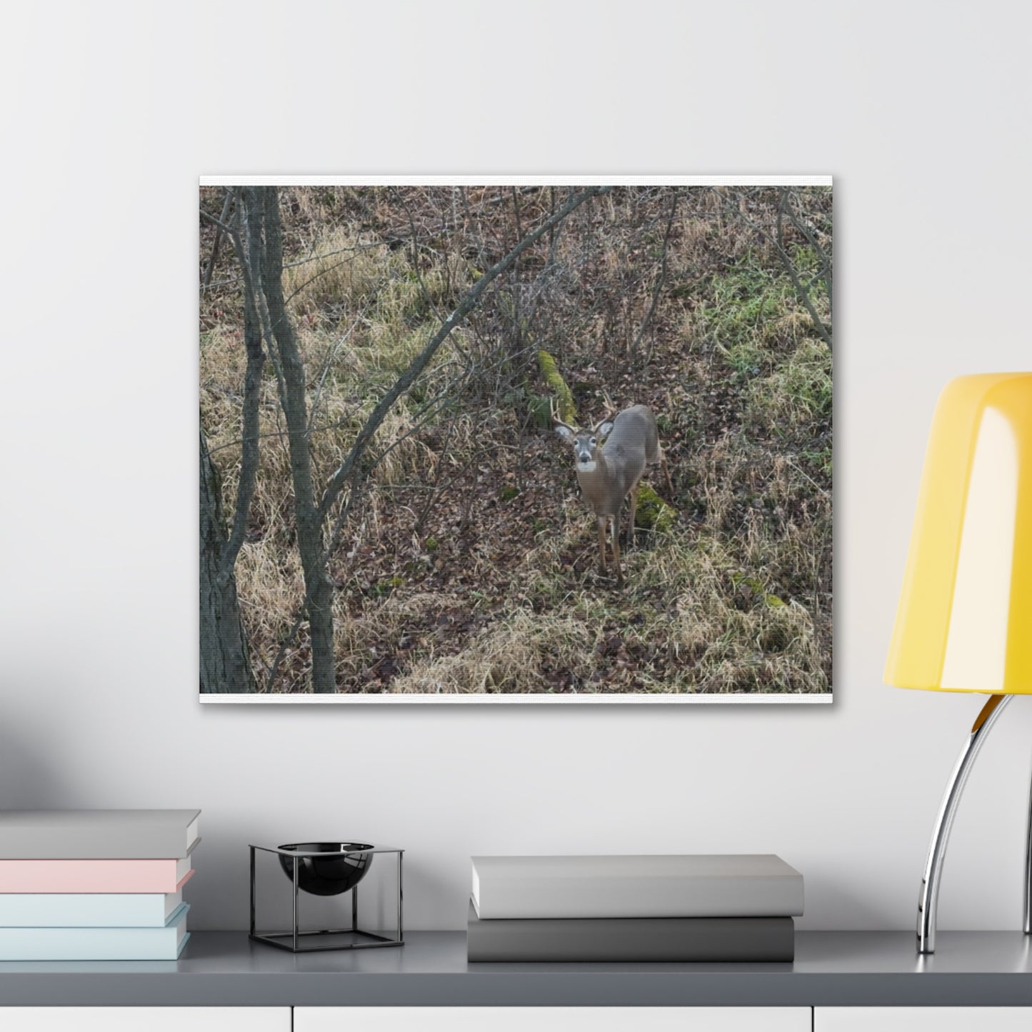 Wisconsin Adrenaline Junkies - Canvas Stretched, 0.75" - Deer