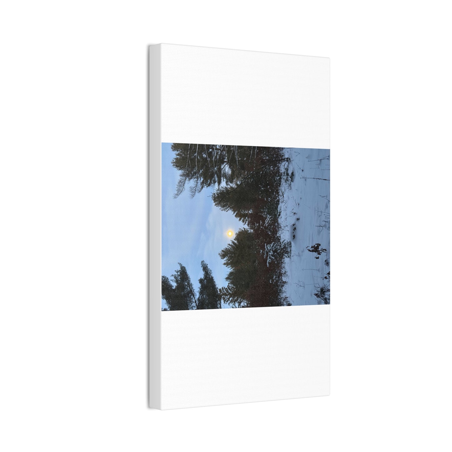 Wisconsin Adrenaline Junkies - Canvas Stretched, 0.75" - Snow