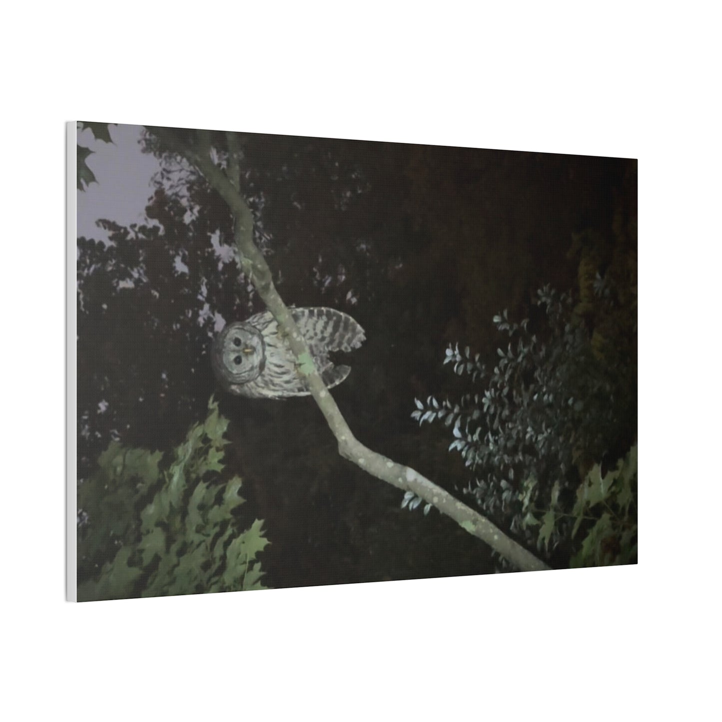 Wisconsin Adrenaline Junkies - Canvas Stretched, 0.75" - Watcher