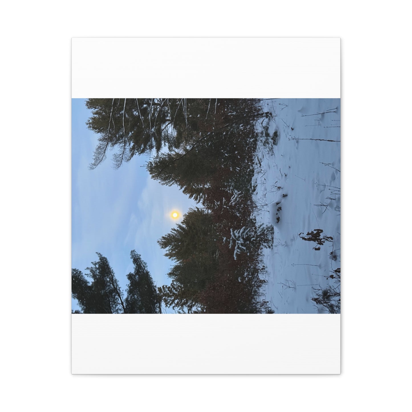 Wisconsin Adrenaline Junkies - Canvas Stretched, 0.75" - Snow