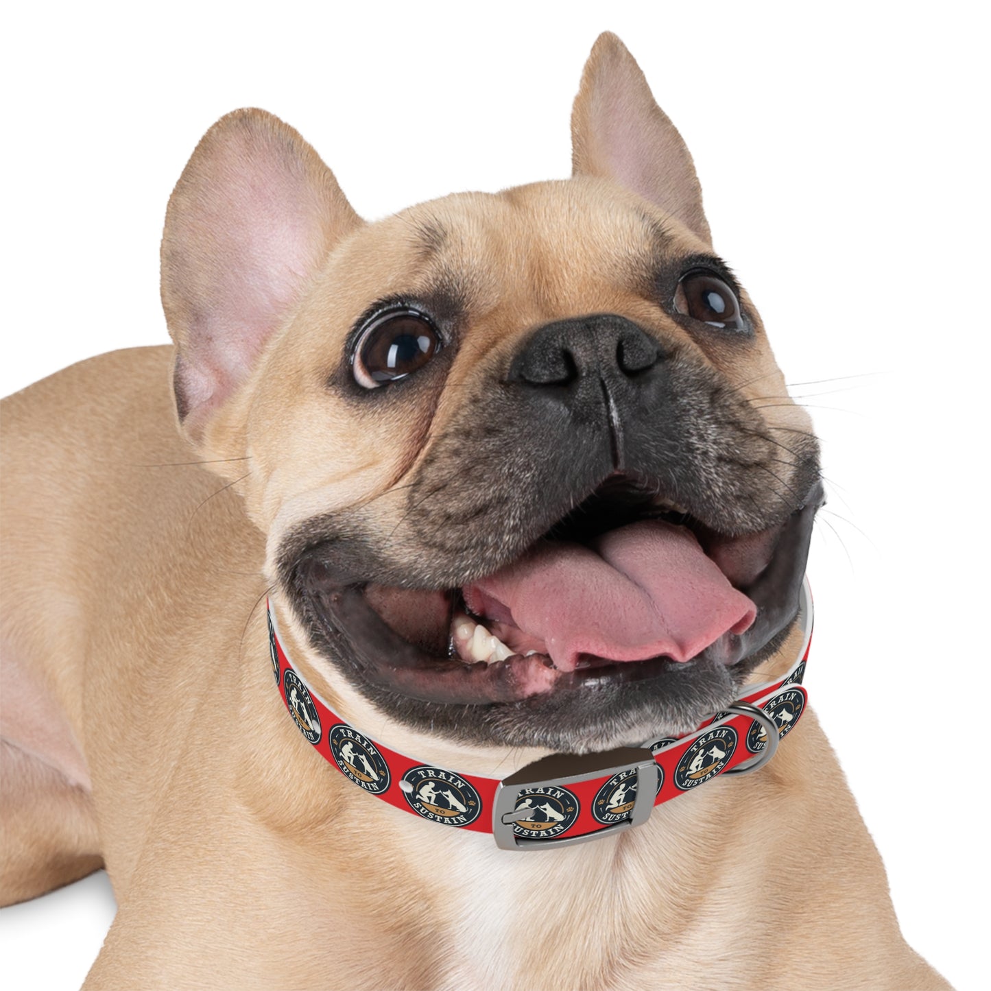 Train to Sustain Design - Dog Collar (Red)