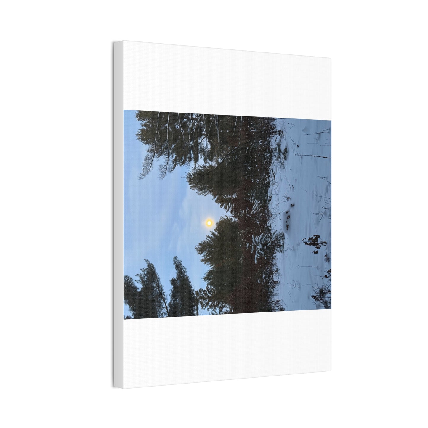 Wisconsin Adrenaline Junkies - Canvas Stretched, 0.75" - Snow
