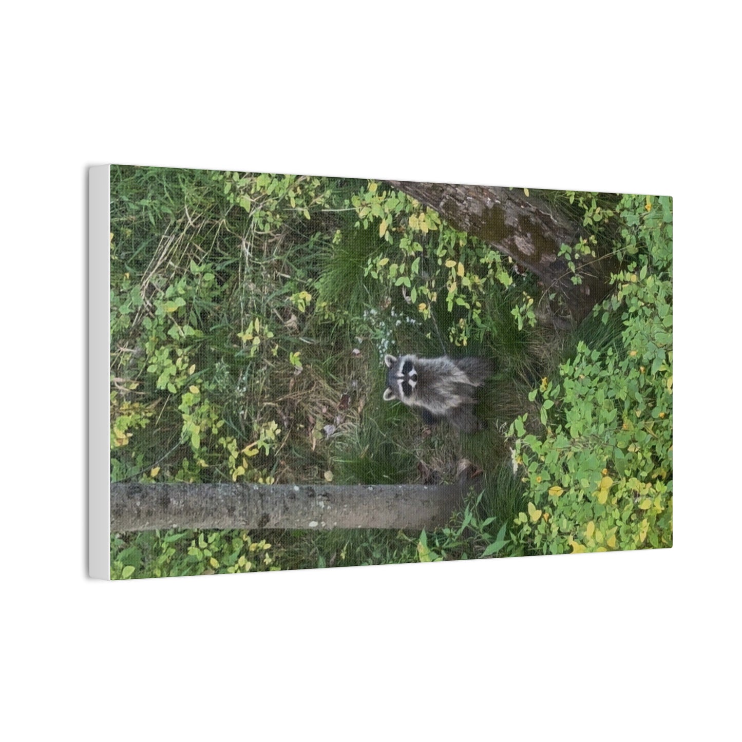 Wisconsin Adrenaline Junkies - Canvas Stretched, 0.75" - Friend