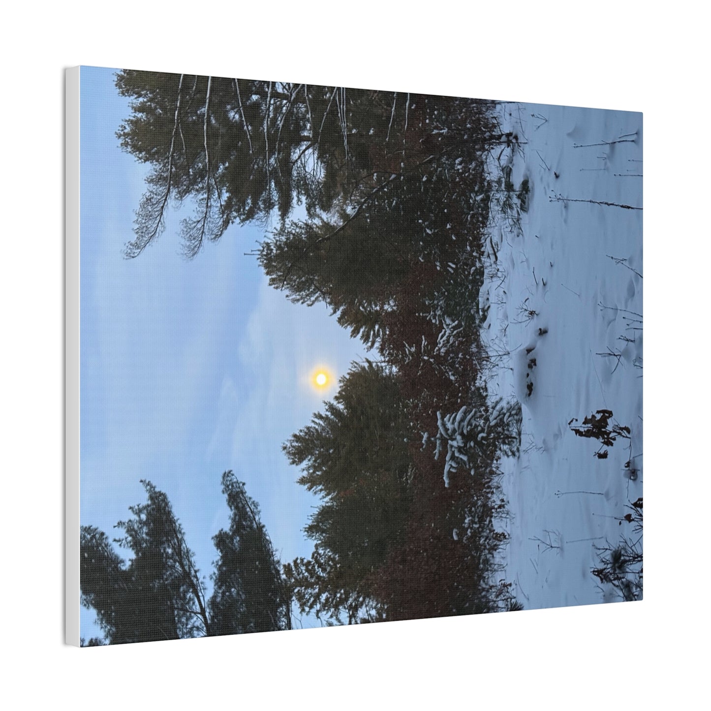 Wisconsin Adrenaline Junkies - Canvas Stretched, 0.75" - Snow