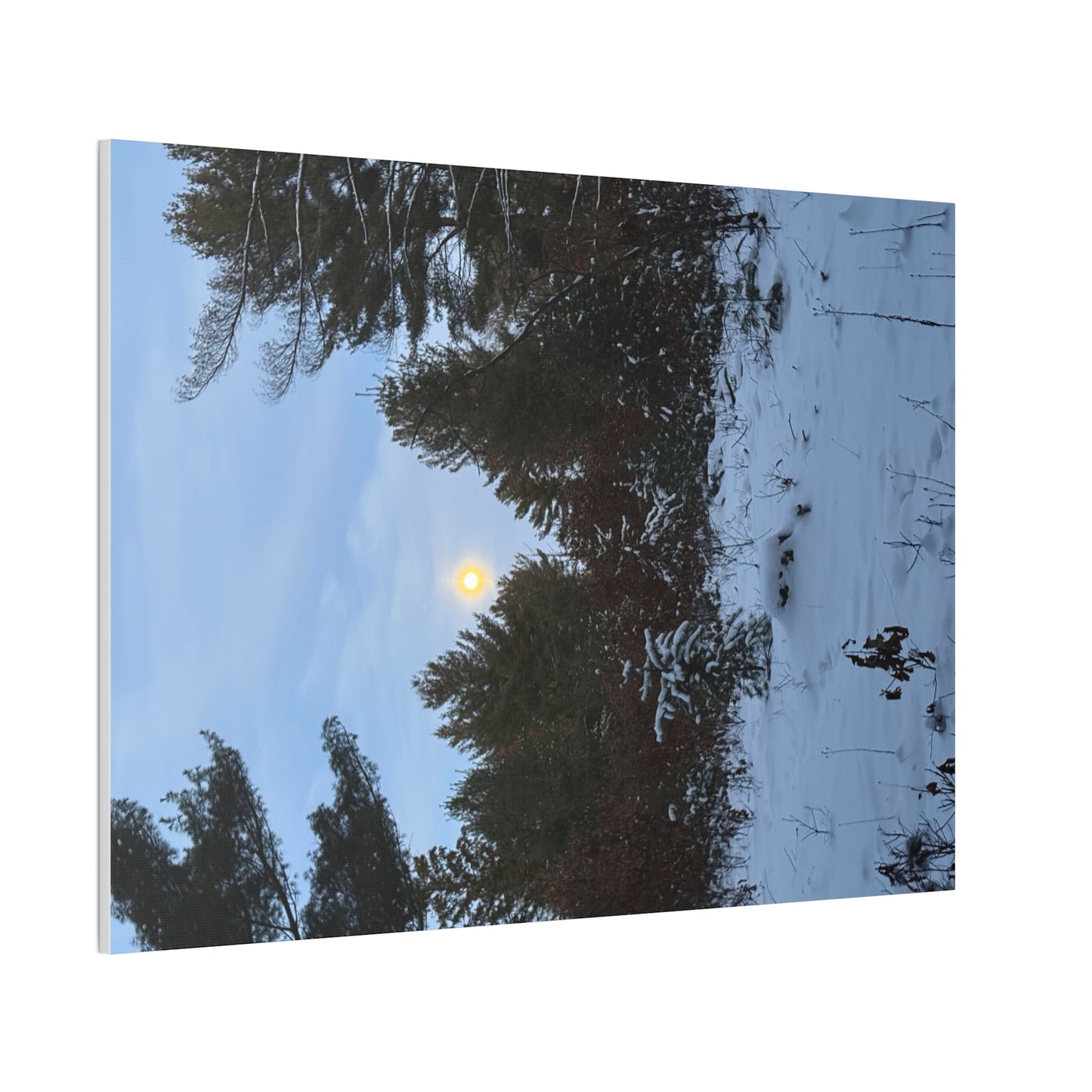 Wisconsin Adrenaline Junkies - Canvas Stretched, 0.75" - Snow