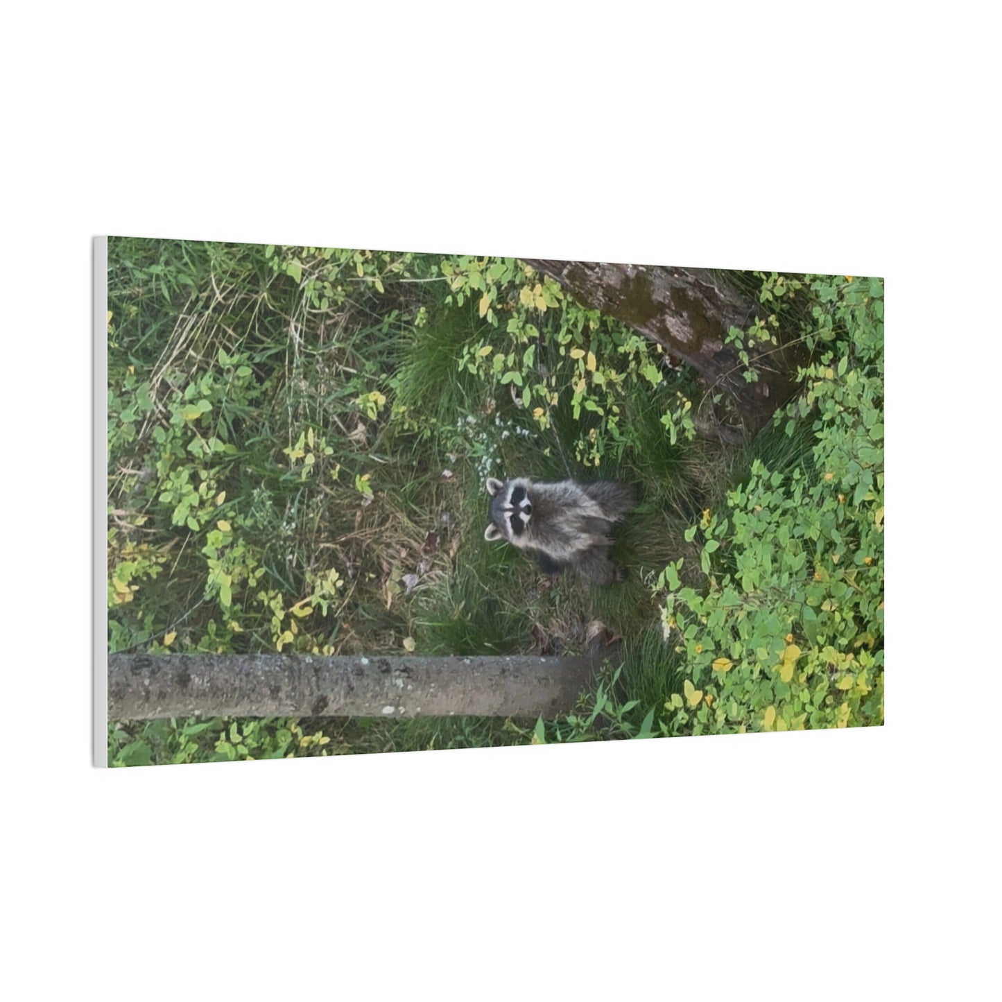 Wisconsin Adrenaline Junkies - Canvas Stretched, 0.75" - Friend