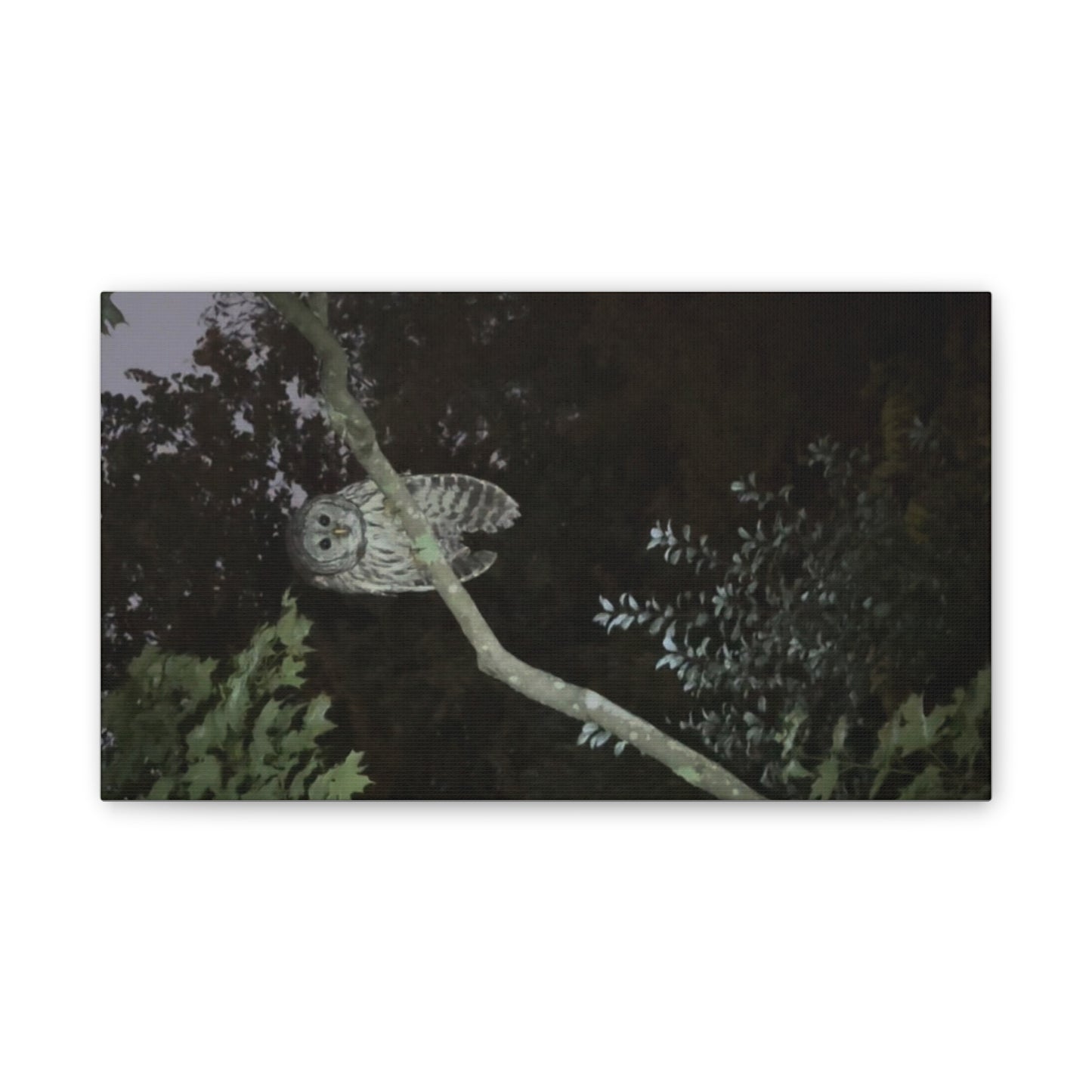 Wisconsin Adrenaline Junkies - Canvas Stretched, 0.75" - Watcher