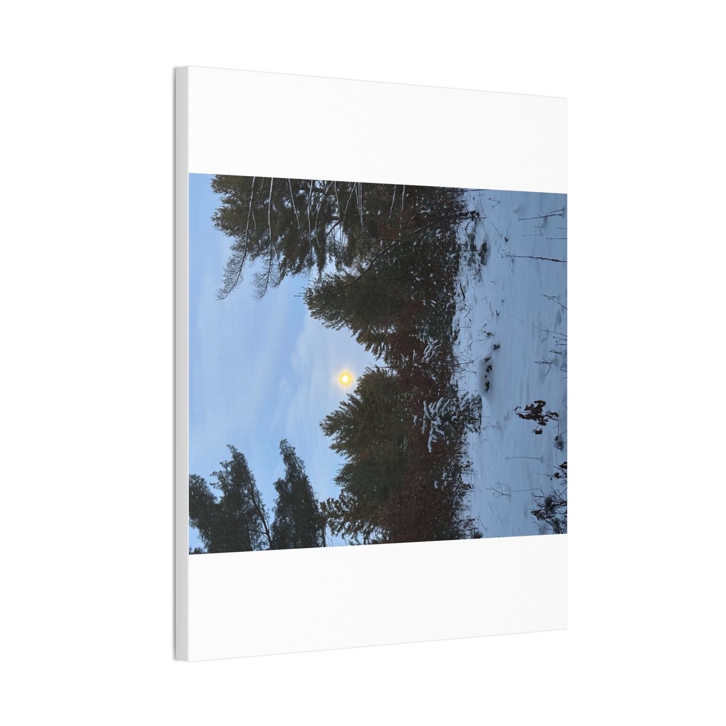 Wisconsin Adrenaline Junkies - Canvas Stretched, 0.75" - Snow