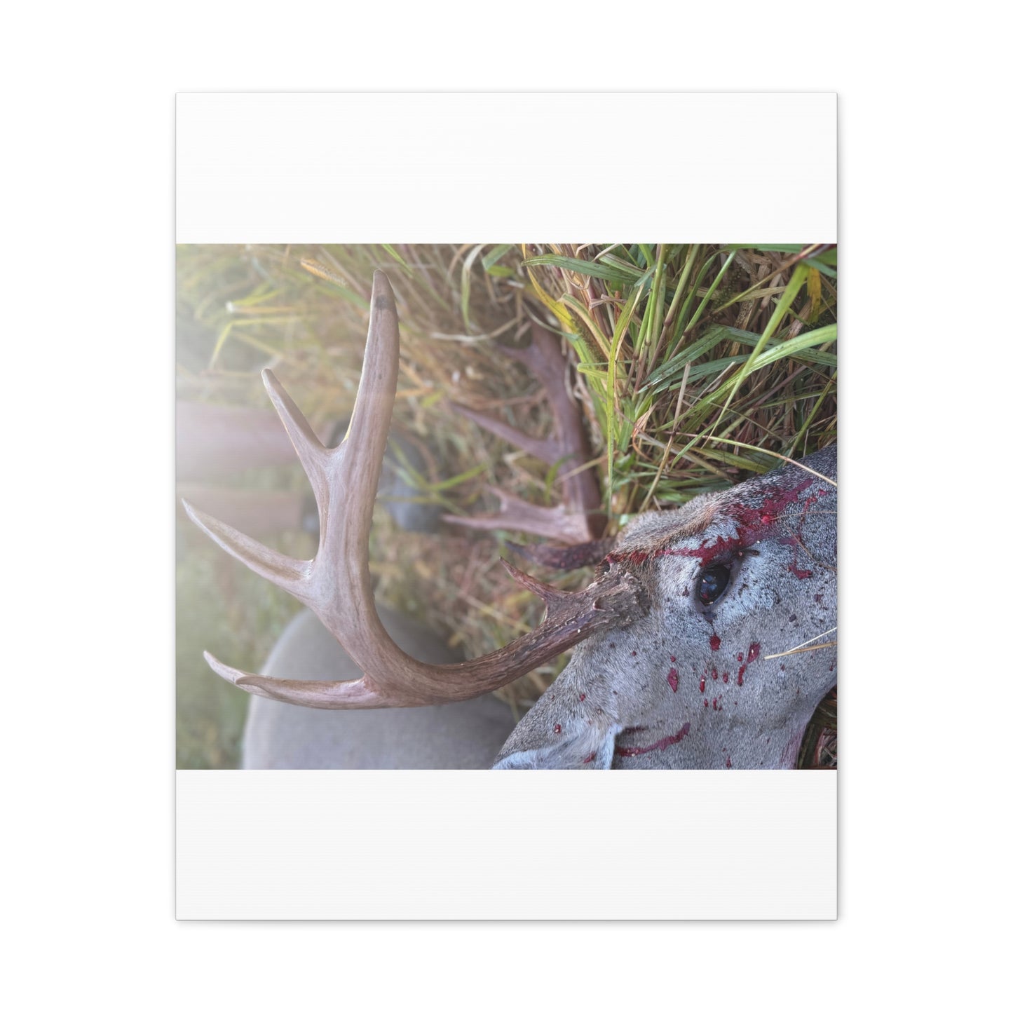 Wisconsin Adrenaline Junkies - Canvas Stretched, 0.75" - Gone