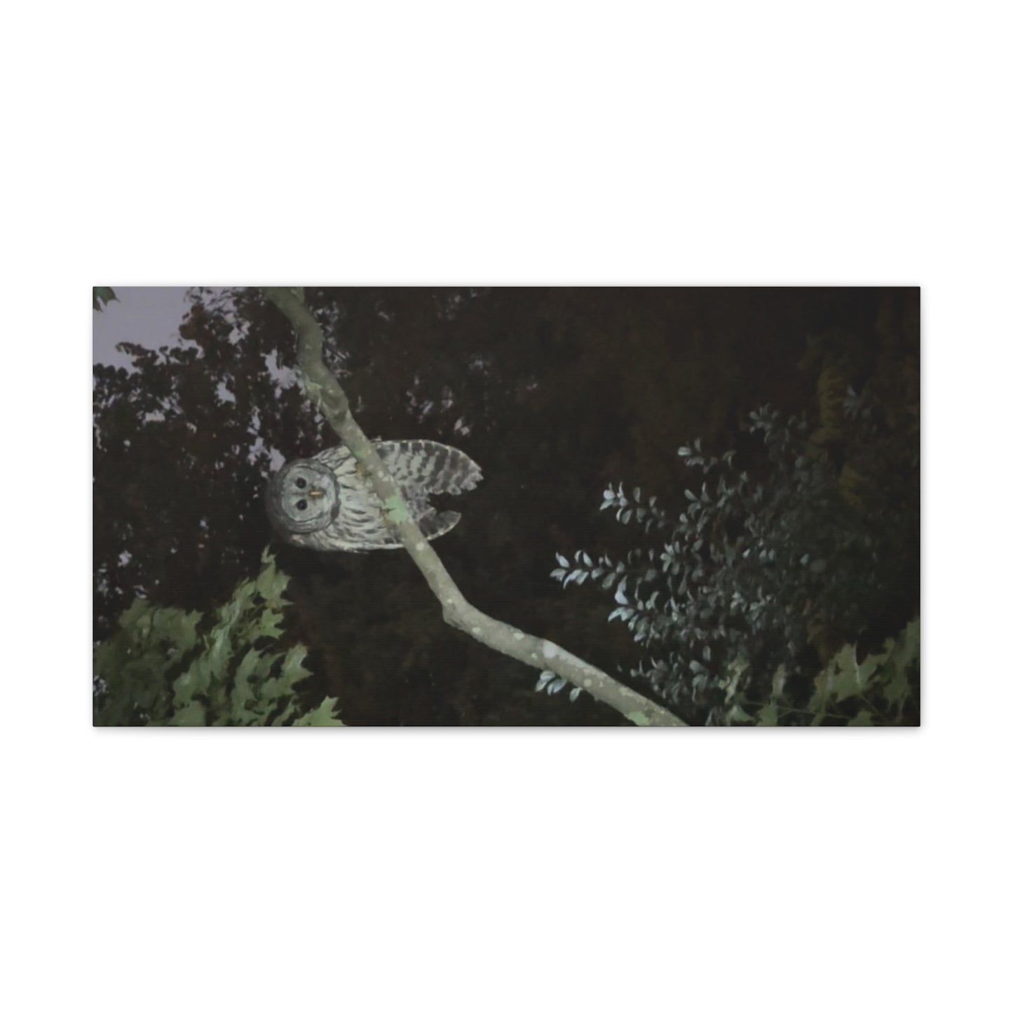 Wisconsin Adrenaline Junkies - Canvas Stretched, 0.75" - Watcher