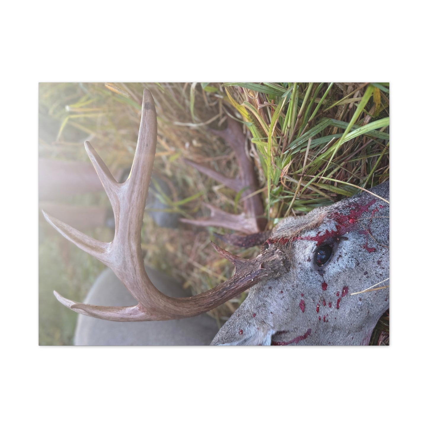 Wisconsin Adrenaline Junkies - Canvas Stretched, 0.75" - Gone