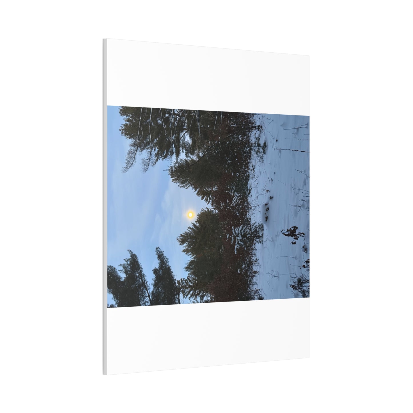 Wisconsin Adrenaline Junkies - Canvas Stretched, 0.75" - Snow