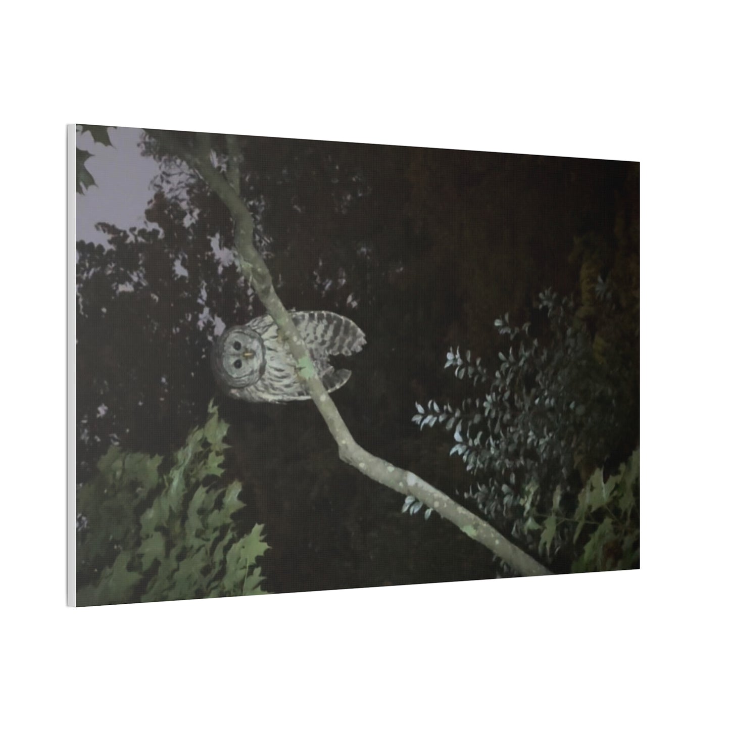 Wisconsin Adrenaline Junkies - Canvas Stretched, 0.75" - Watcher