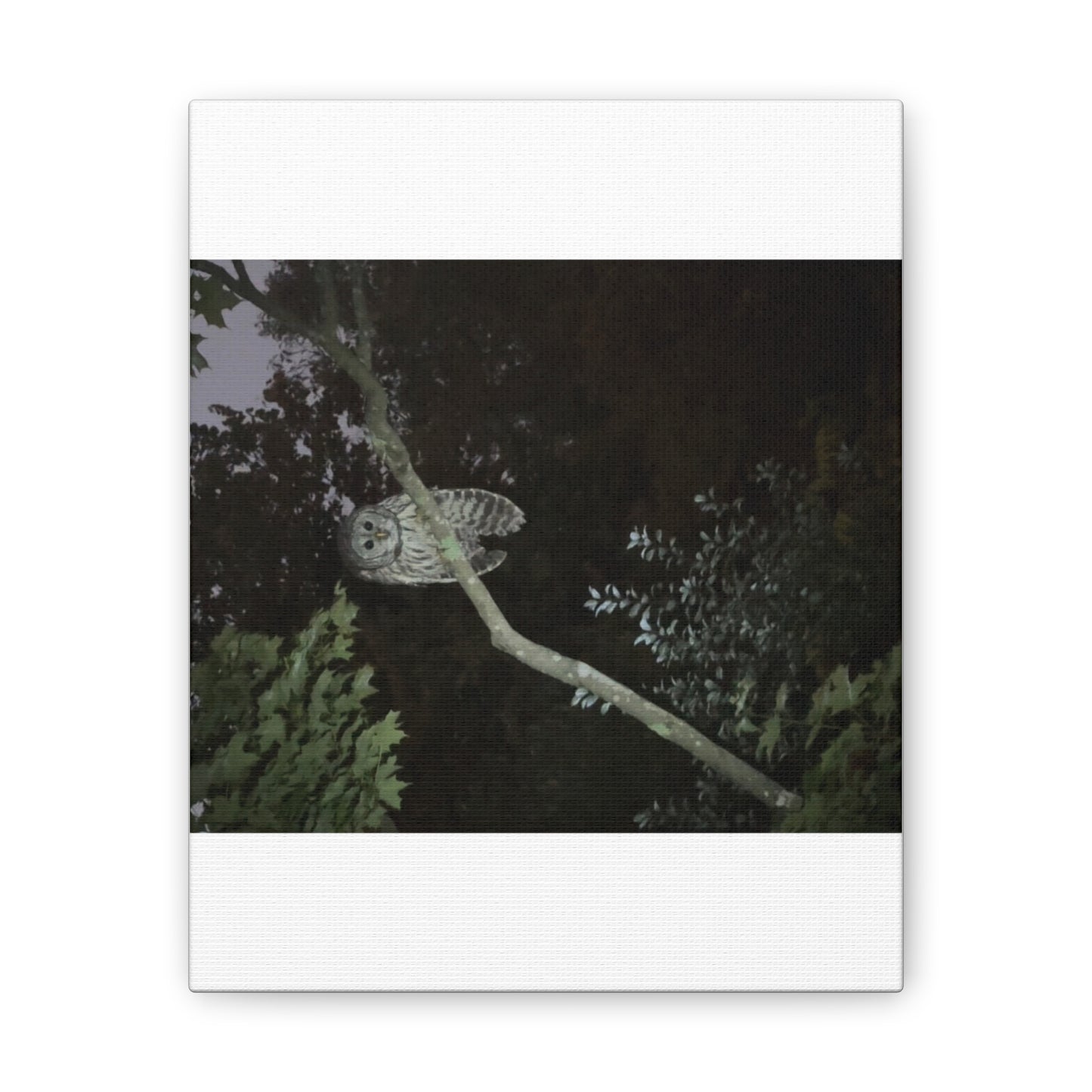 Wisconsin Adrenaline Junkies - Canvas Stretched, 0.75" - Watcher