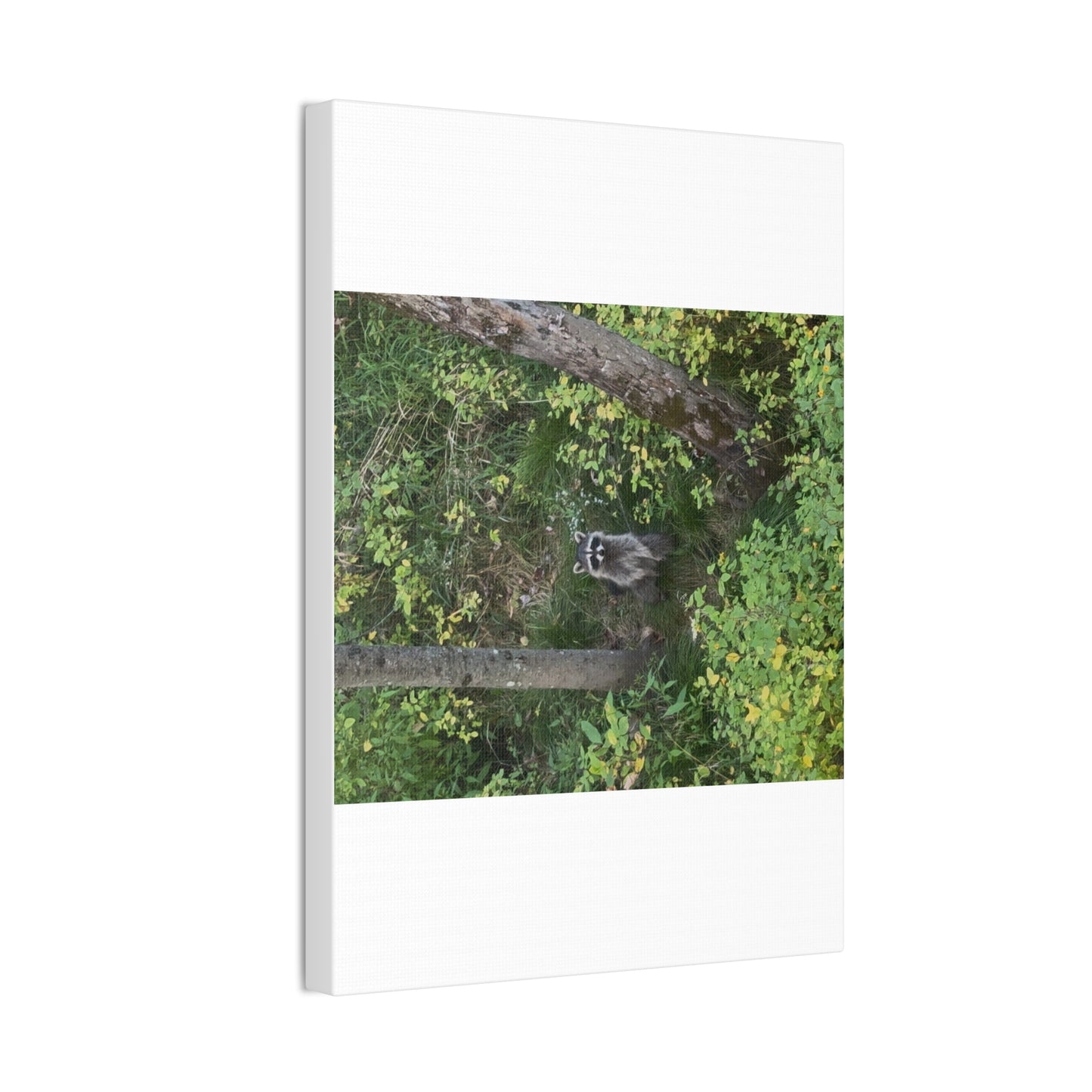Wisconsin Adrenaline Junkies - Canvas Stretched, 0.75" - Friend