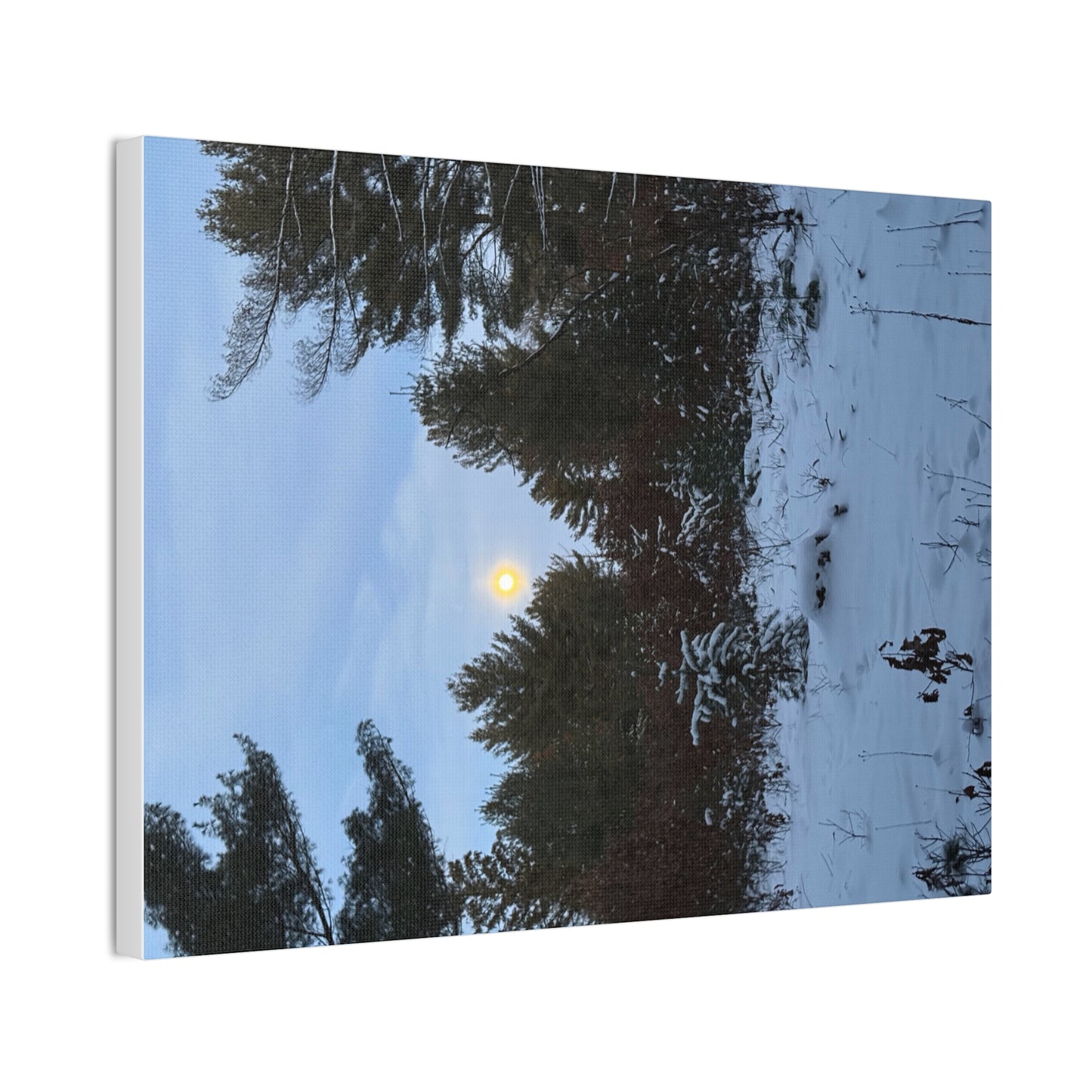 Wisconsin Adrenaline Junkies - Canvas Stretched, 0.75" - Snow