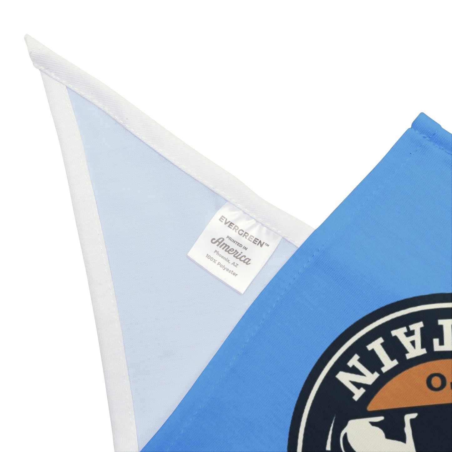 Train to Sustain - Pet Bandana (Blue)