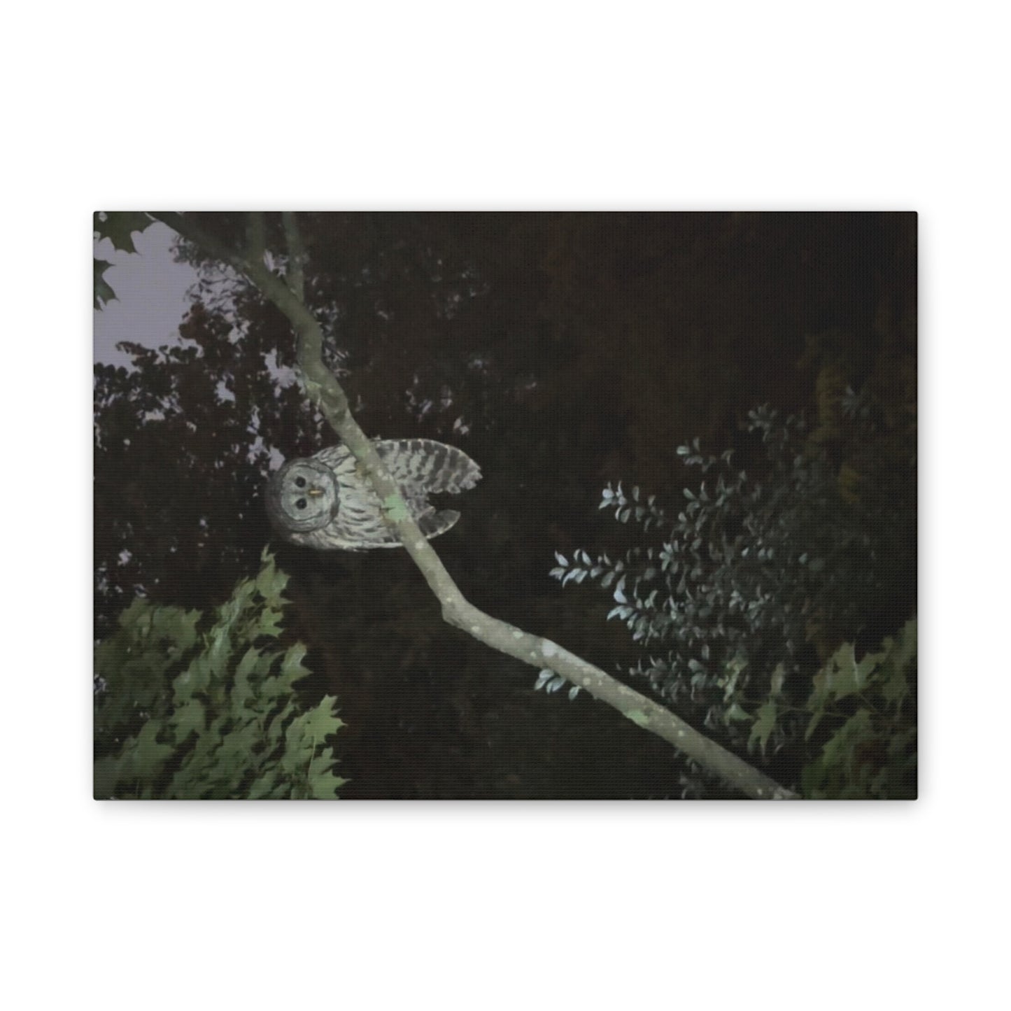 Wisconsin Adrenaline Junkies - Canvas Stretched, 0.75" - Watcher