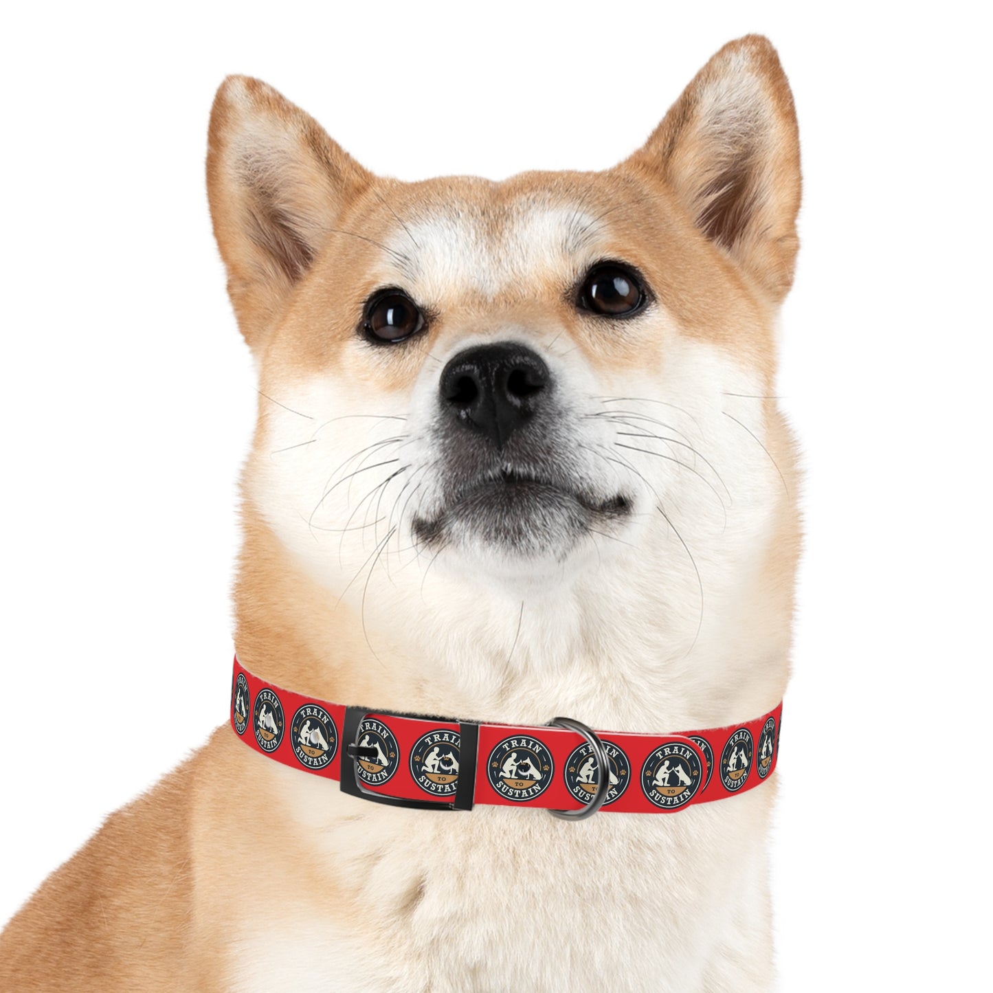 Train to Sustain Design - Dog Collar (Red)