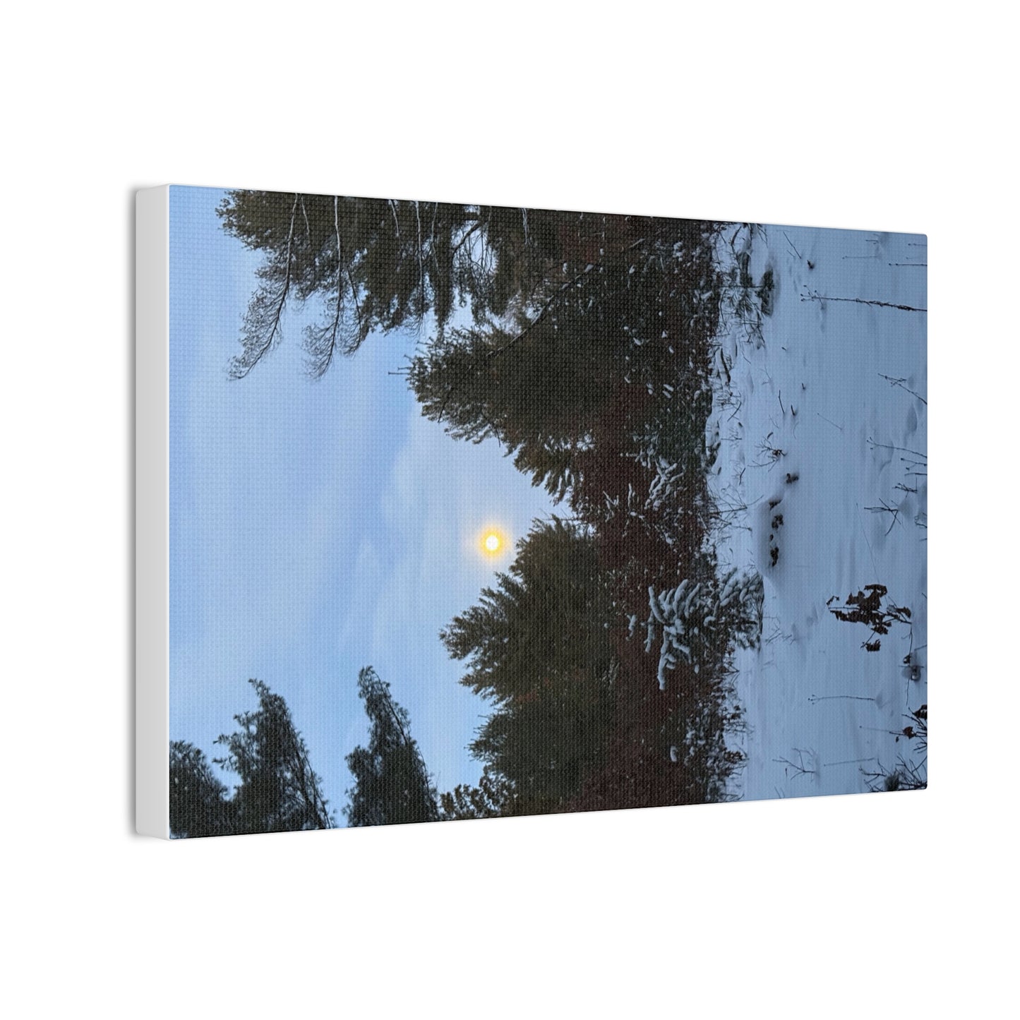 Wisconsin Adrenaline Junkies - Canvas Stretched, 0.75" - Snow