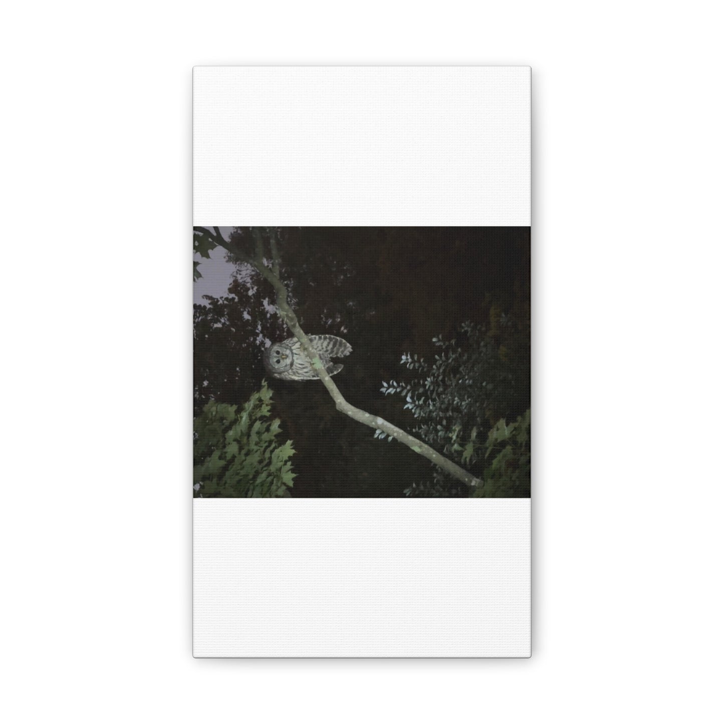 Wisconsin Adrenaline Junkies - Canvas Stretched, 0.75" - Watcher