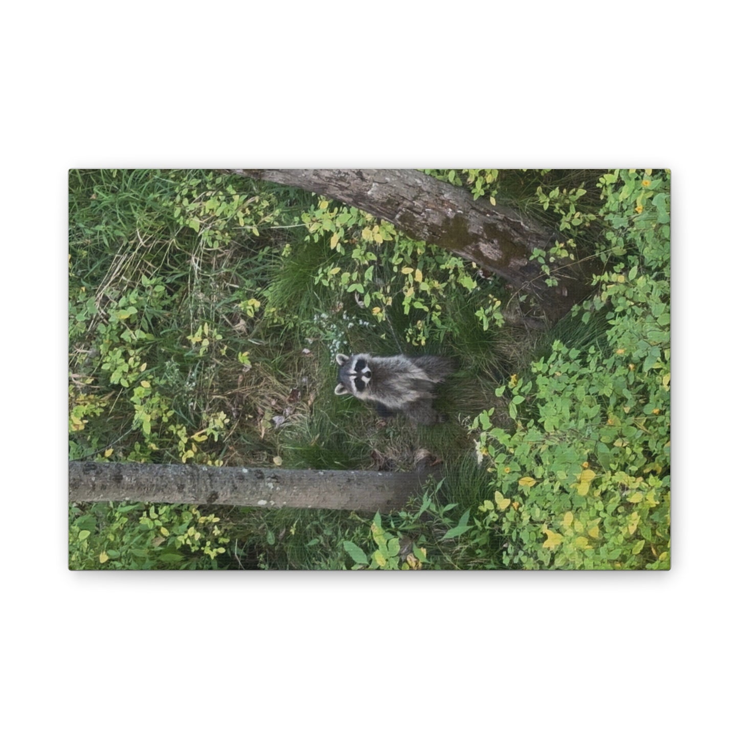 Wisconsin Adrenaline Junkies - Canvas Stretched, 0.75" - Friend
