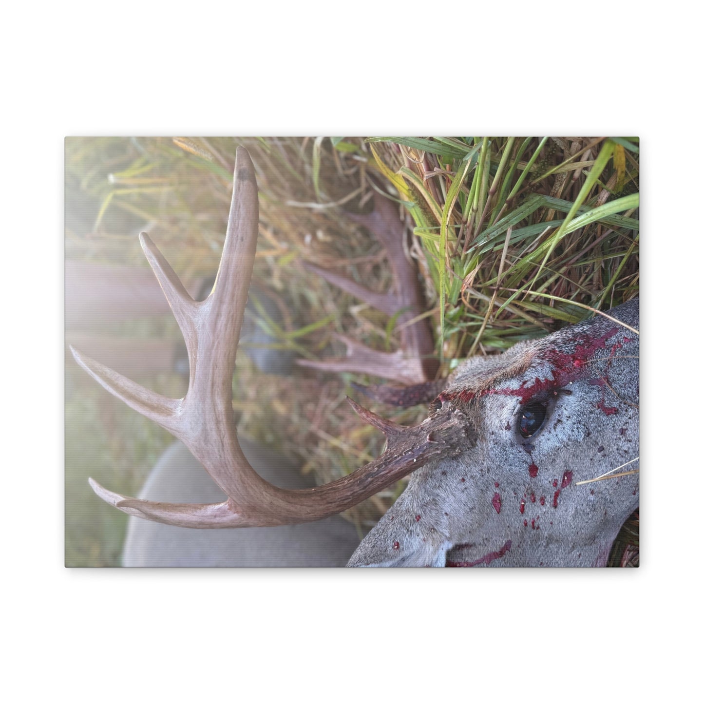 Wisconsin Adrenaline Junkies - Canvas Stretched, 0.75" - Gone